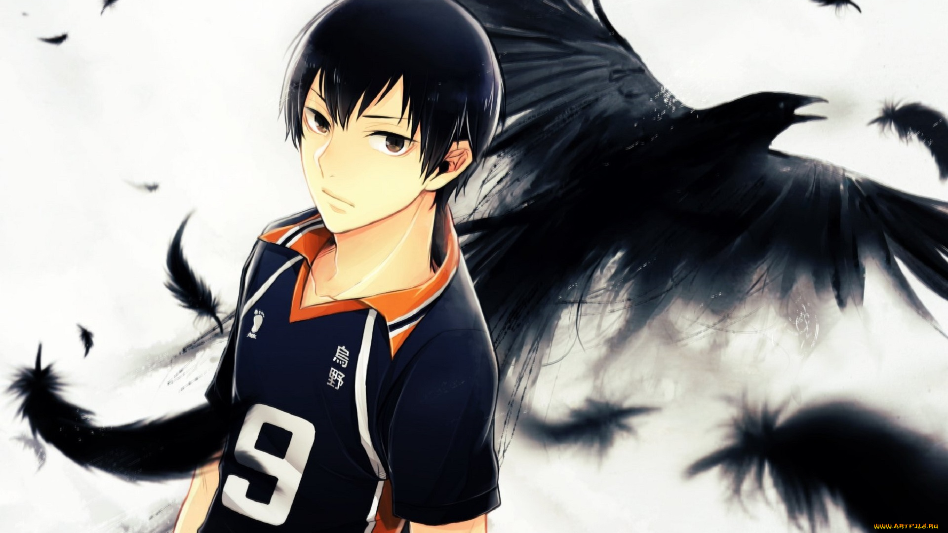 аниме, haikyuu, ворон, кагеяма, тобио