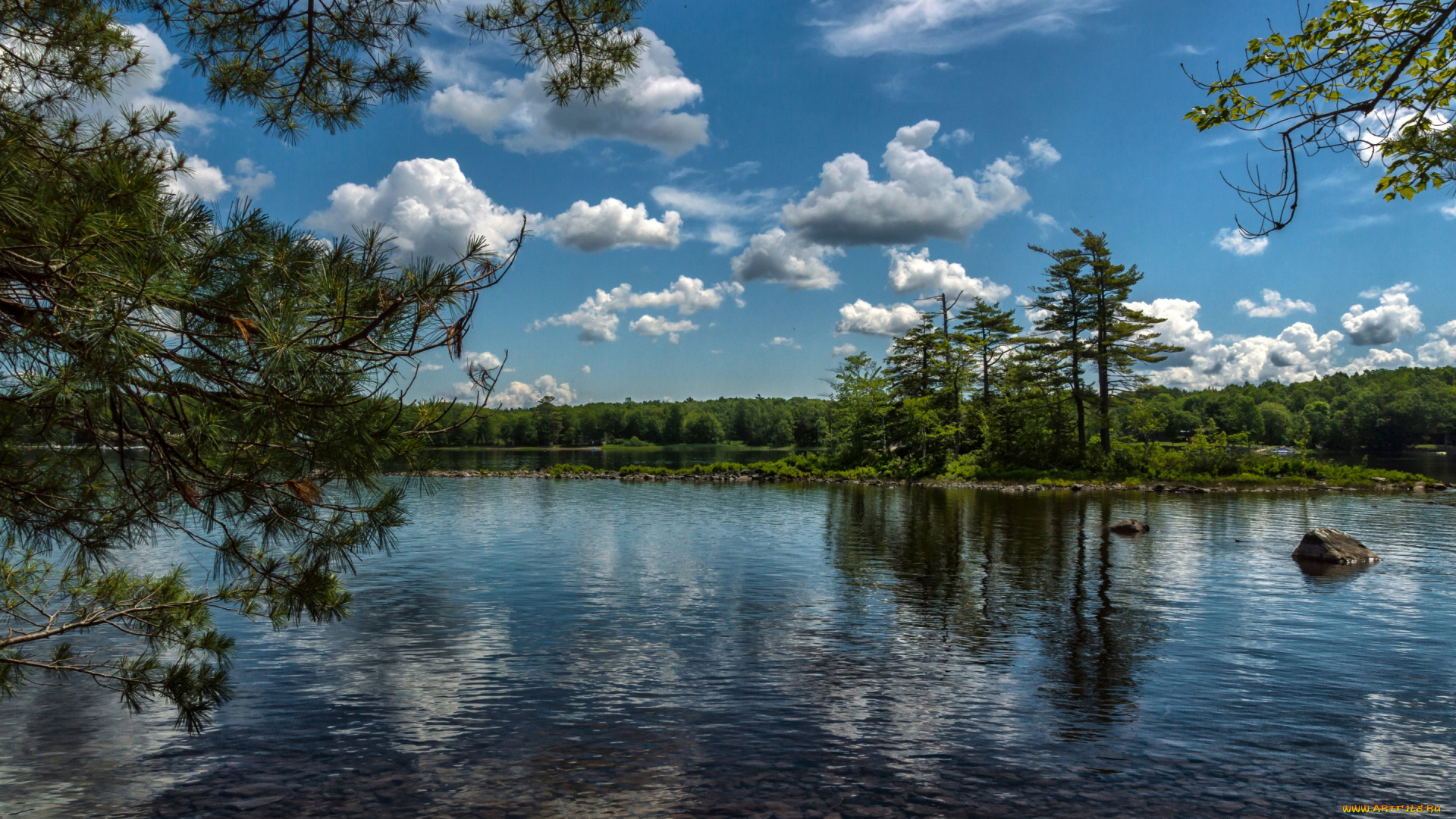 природа, реки, озера, облака, остров, озеро, ветки, лес, деревья