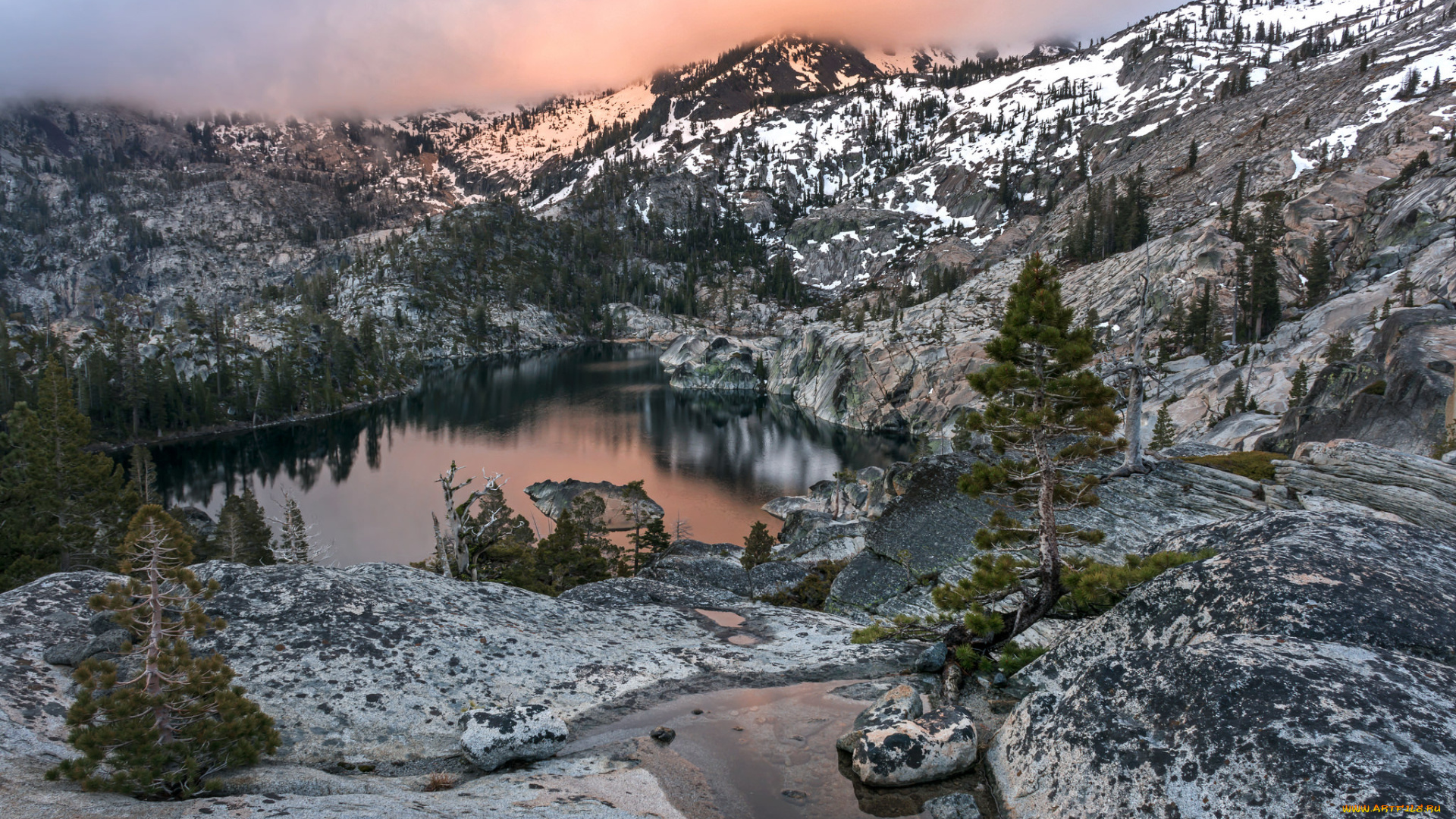 природа, реки, озера, река, лес