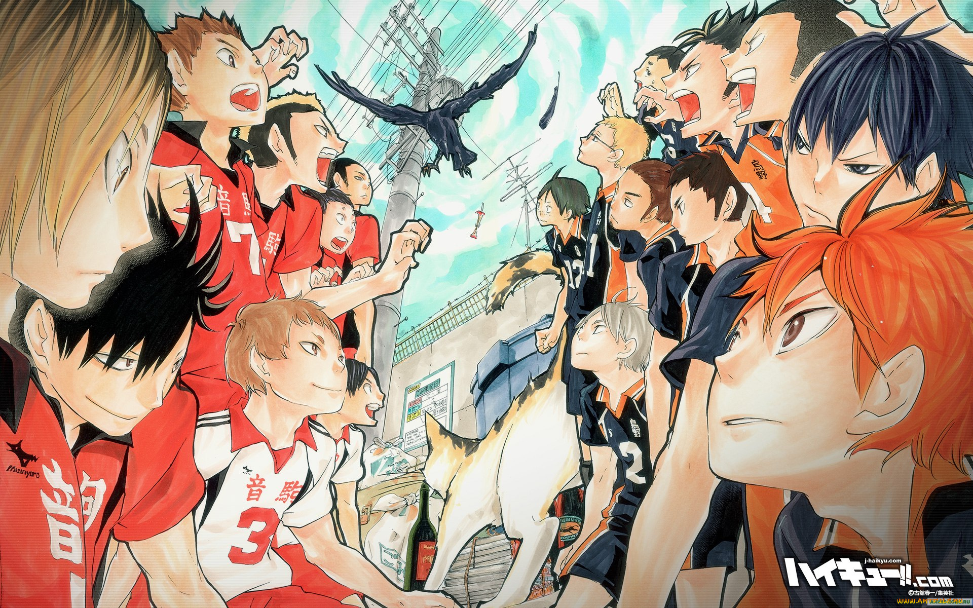 аниме, haikyuu, парни