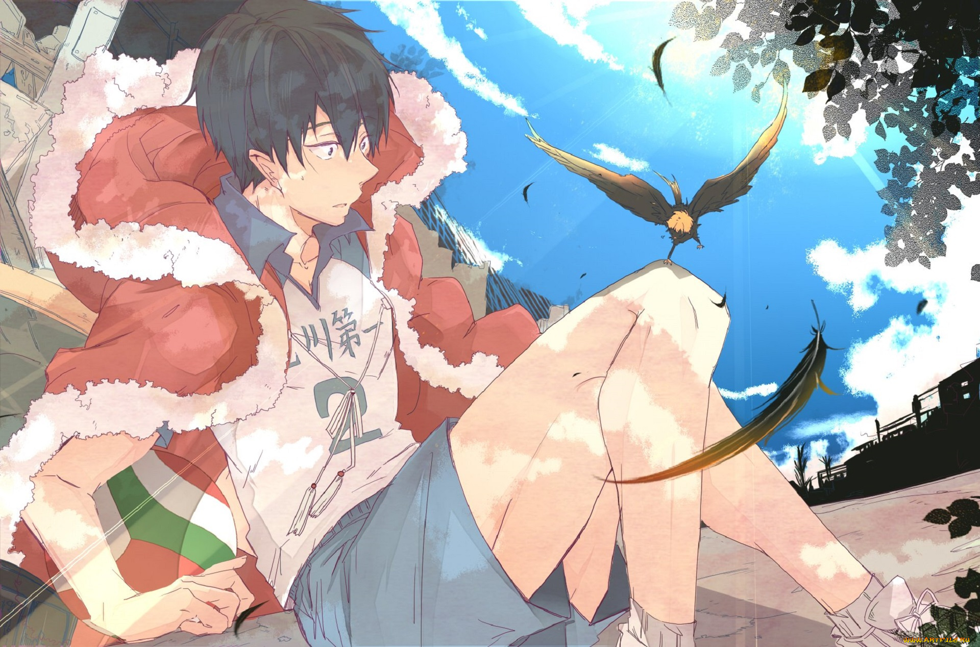 аниме, haikyuu, кагеяма, тобио, птица