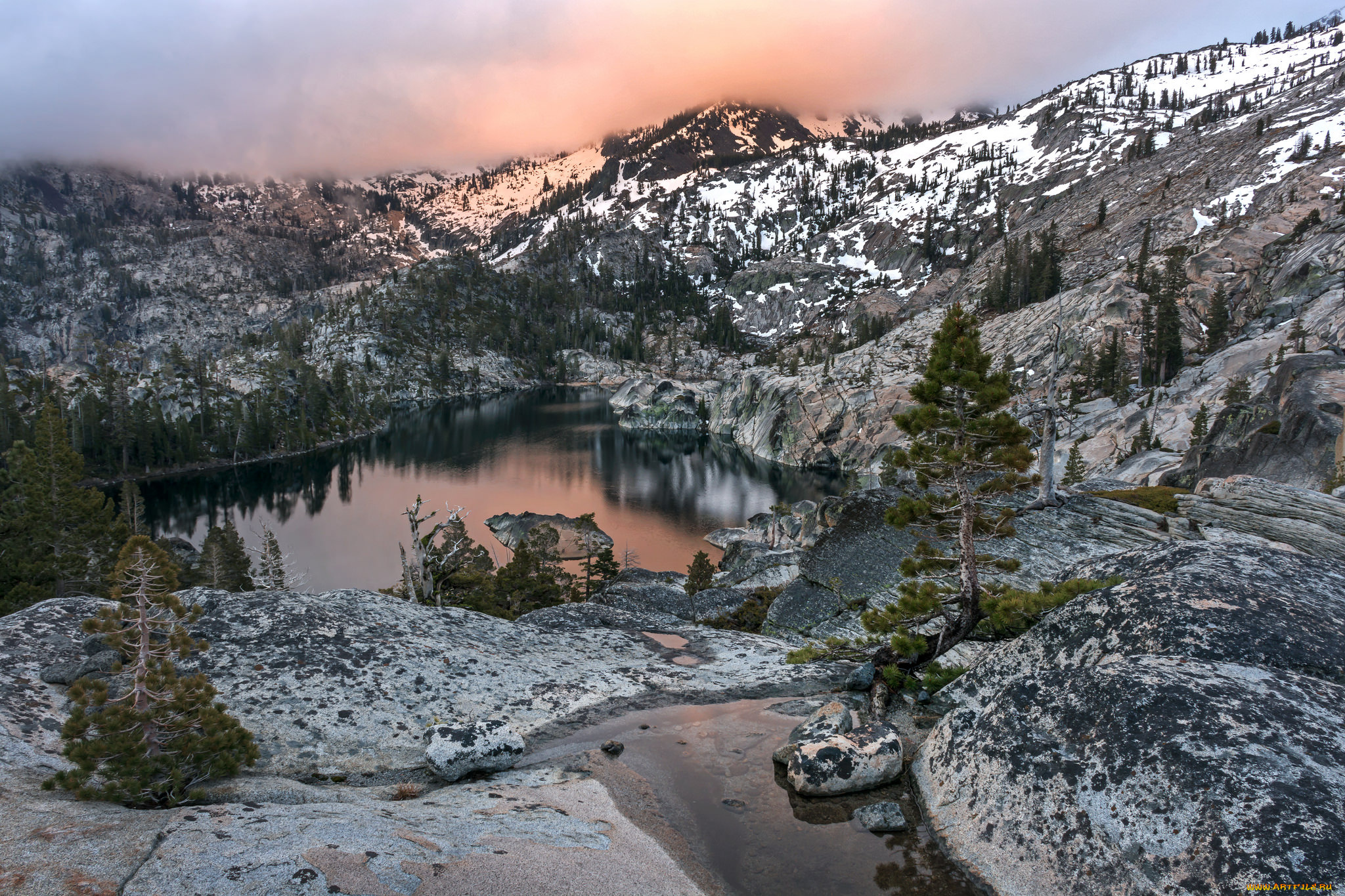 природа, реки, озера, река, лес