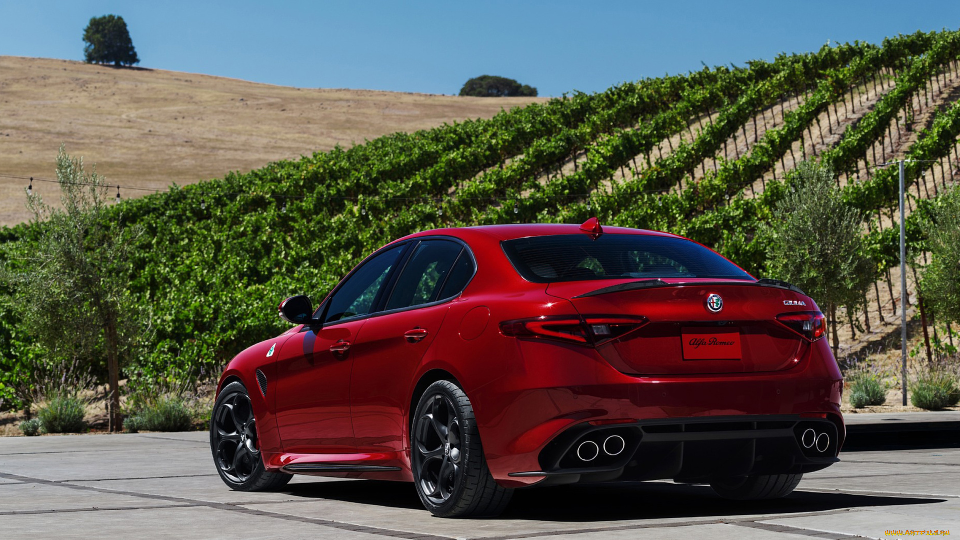 alfa, romeo, giulia, quadrifoglio, 2017, автомобили, alfa, romeo, 2017, quadrifoglio, alfa, romeo, giulia