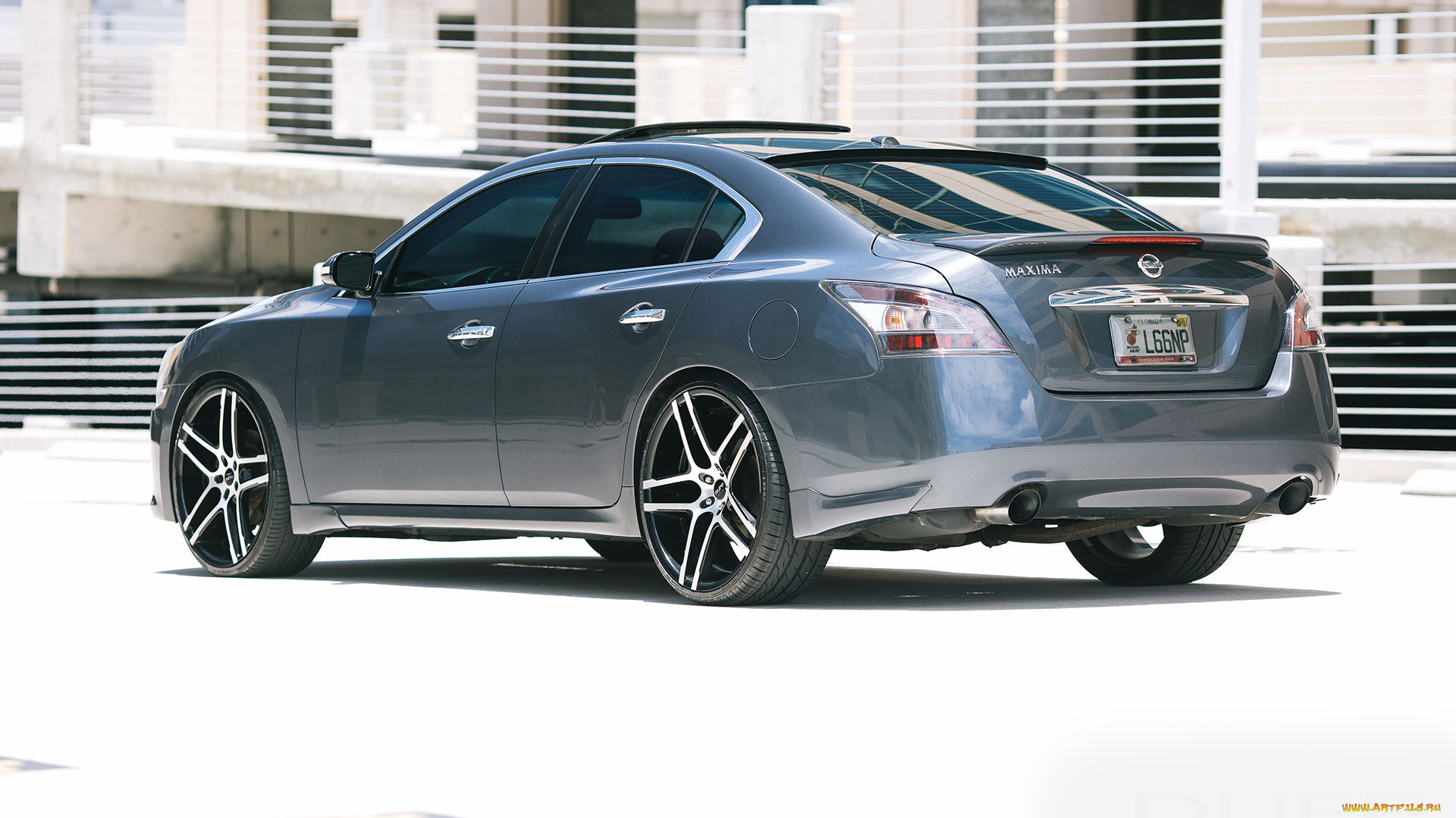 автомобили, nissan, datsun