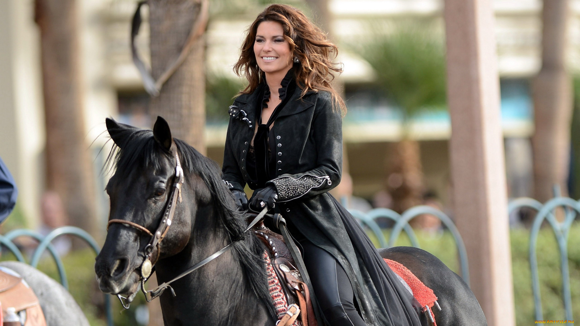 музыка, shania, twain, наездница, лошадь