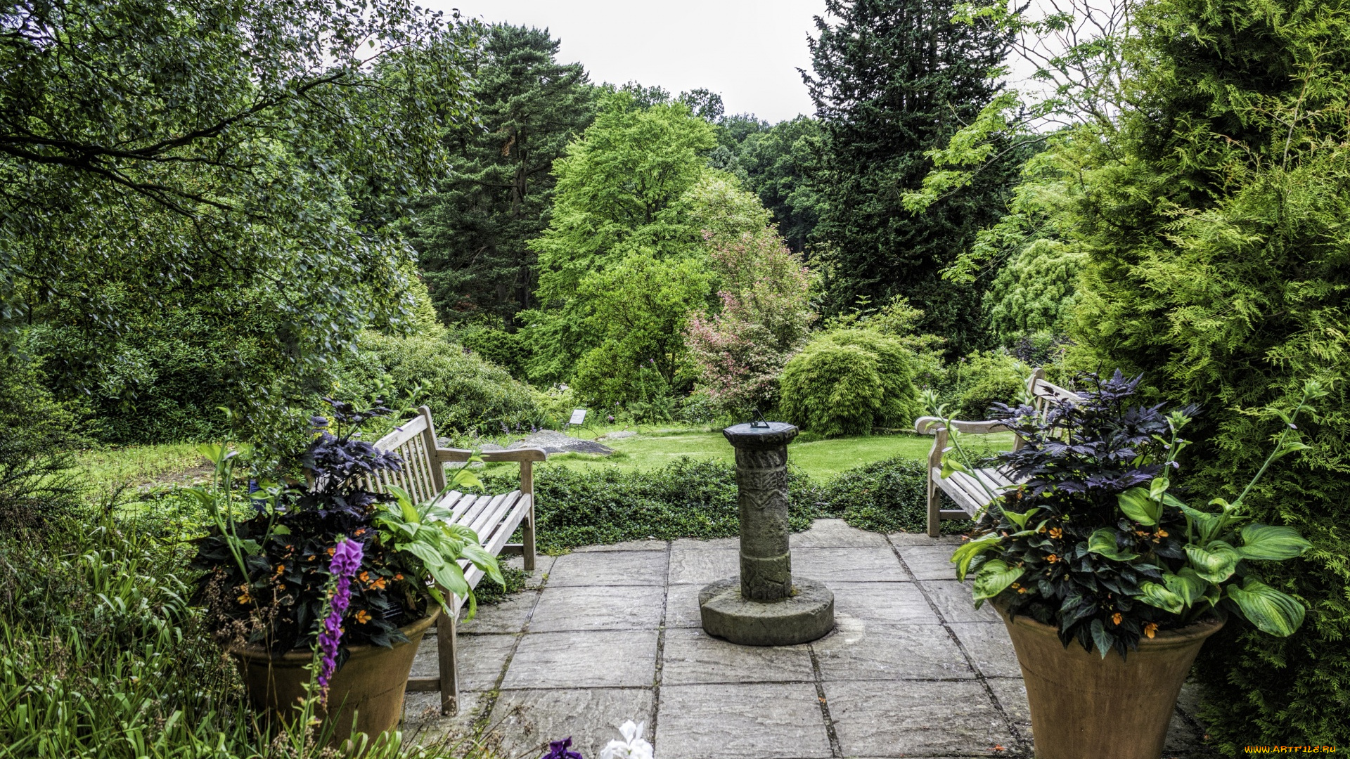 природа, парк, деревья, скамейки, горшки