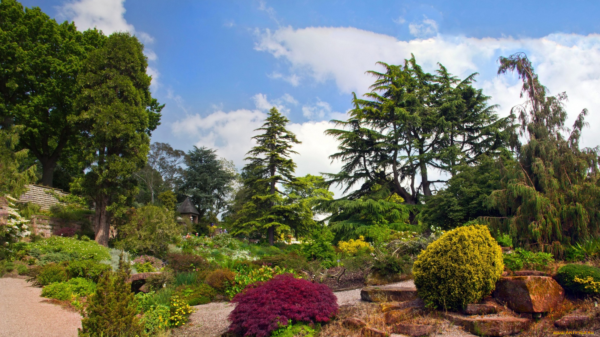 природа, парк, кустарники, деревья, облака