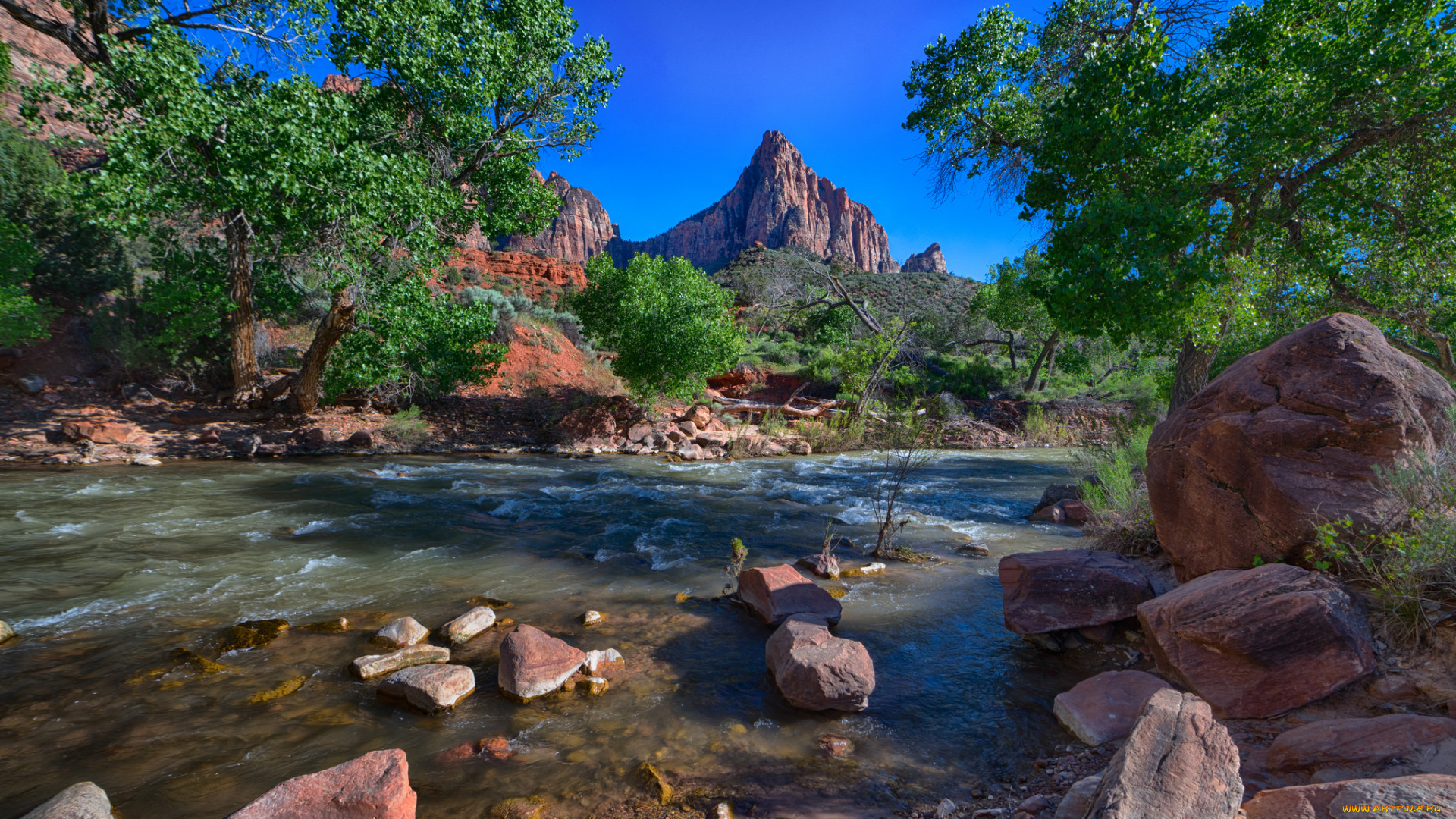 природа, реки, озера, река, лес