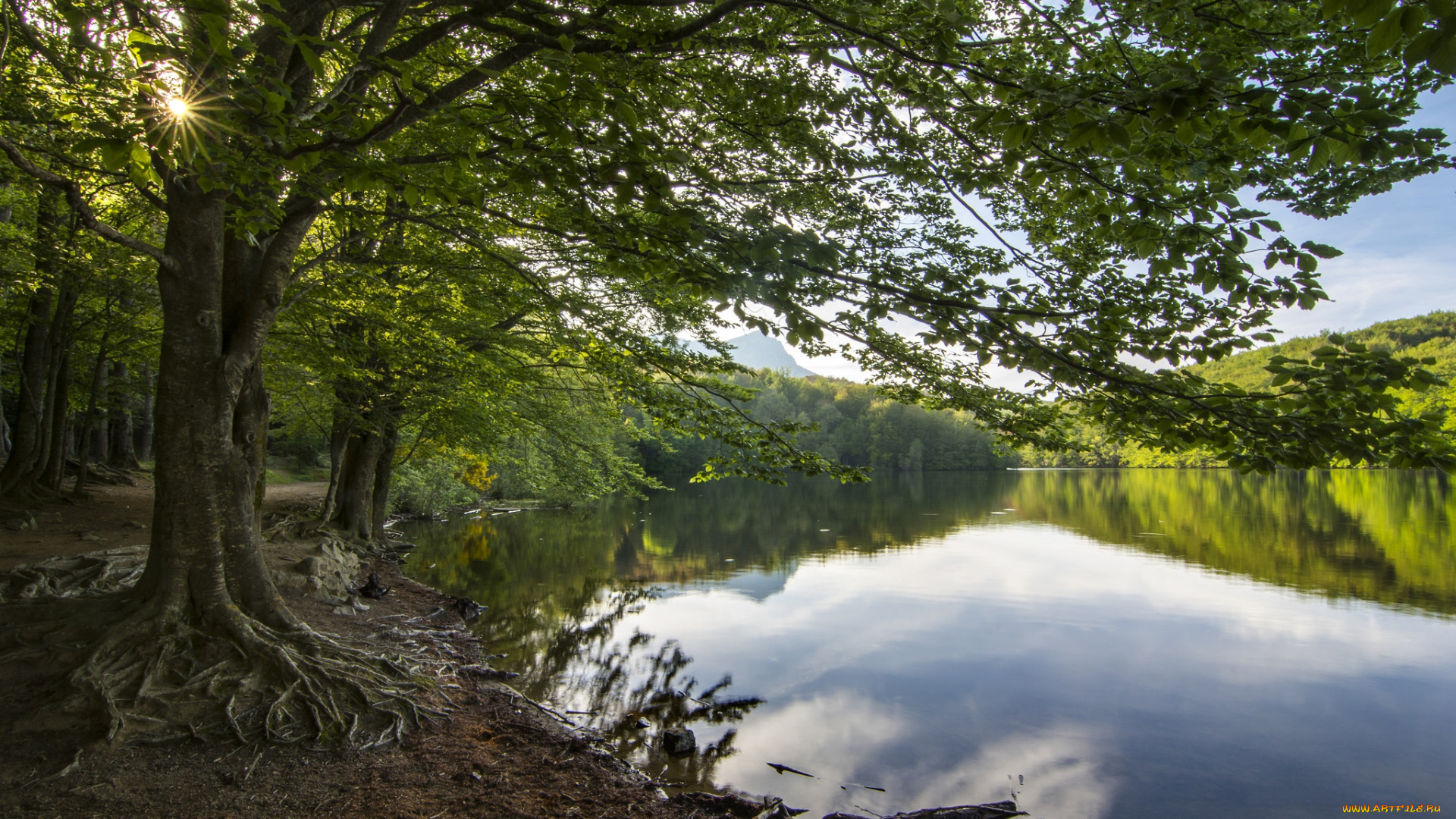 природа, реки, озера, река, лес