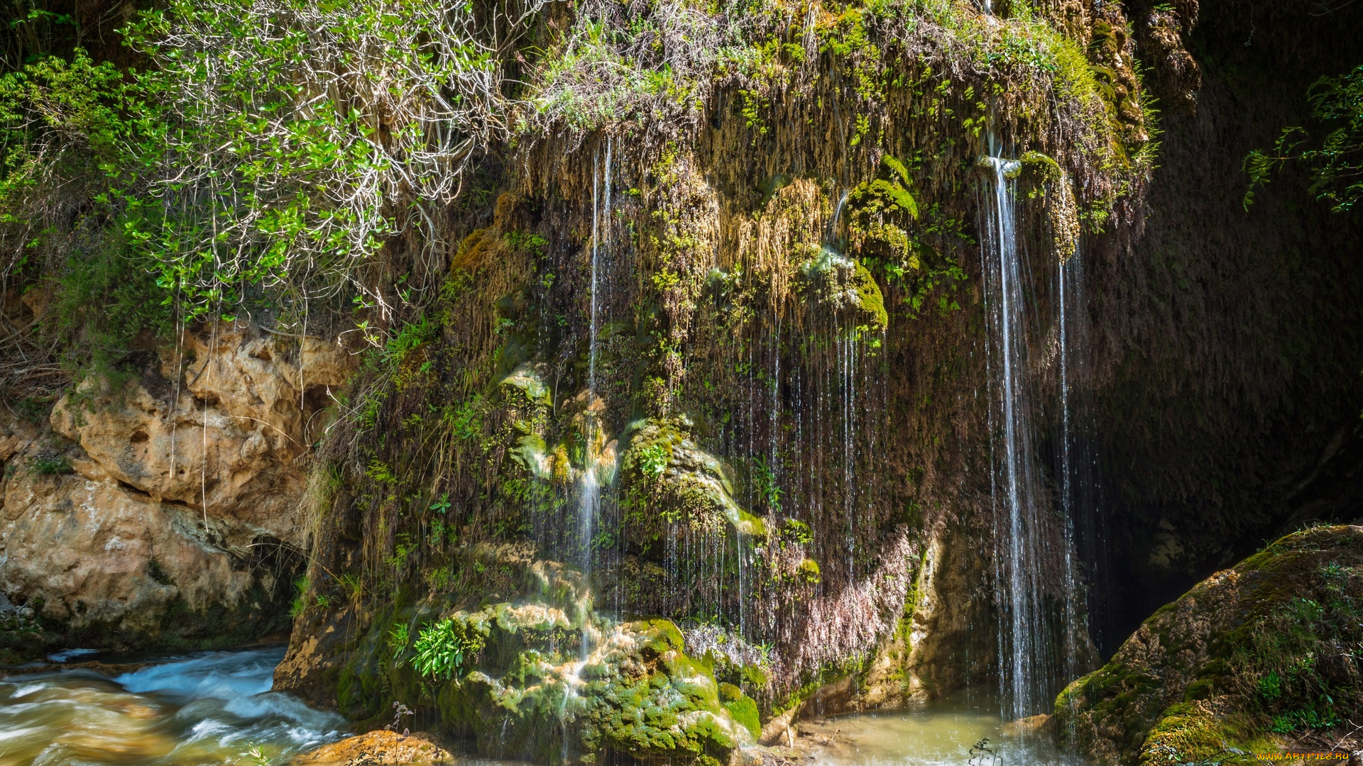 природа, водопады, вода, растения