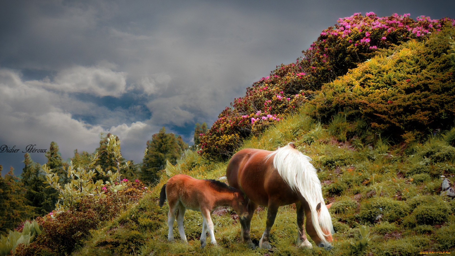 разное, компьютерный, дизайн, горы, компьютерный, диз, лошадь, цветы