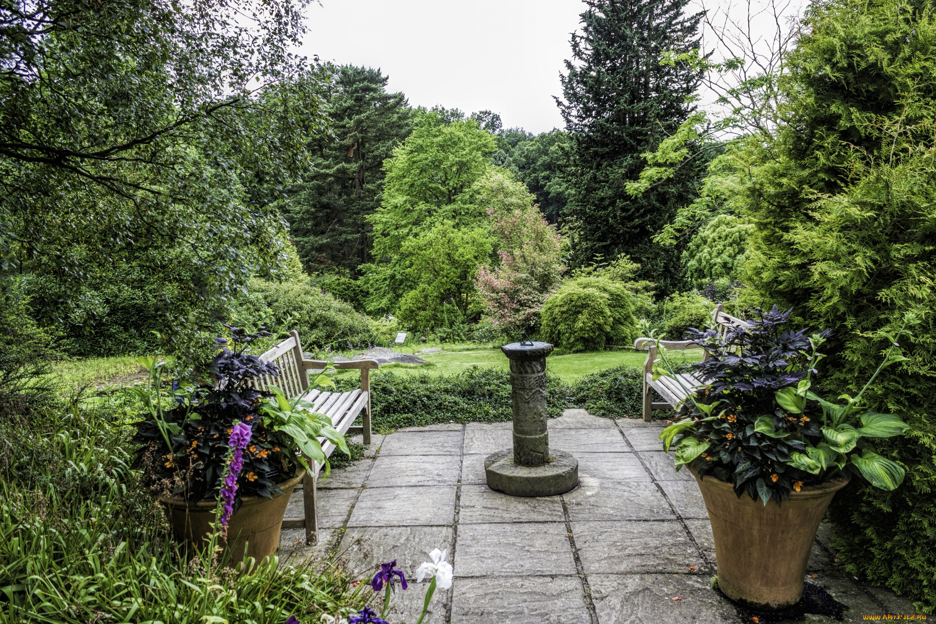 природа, парк, деревья, скамейки, горшки