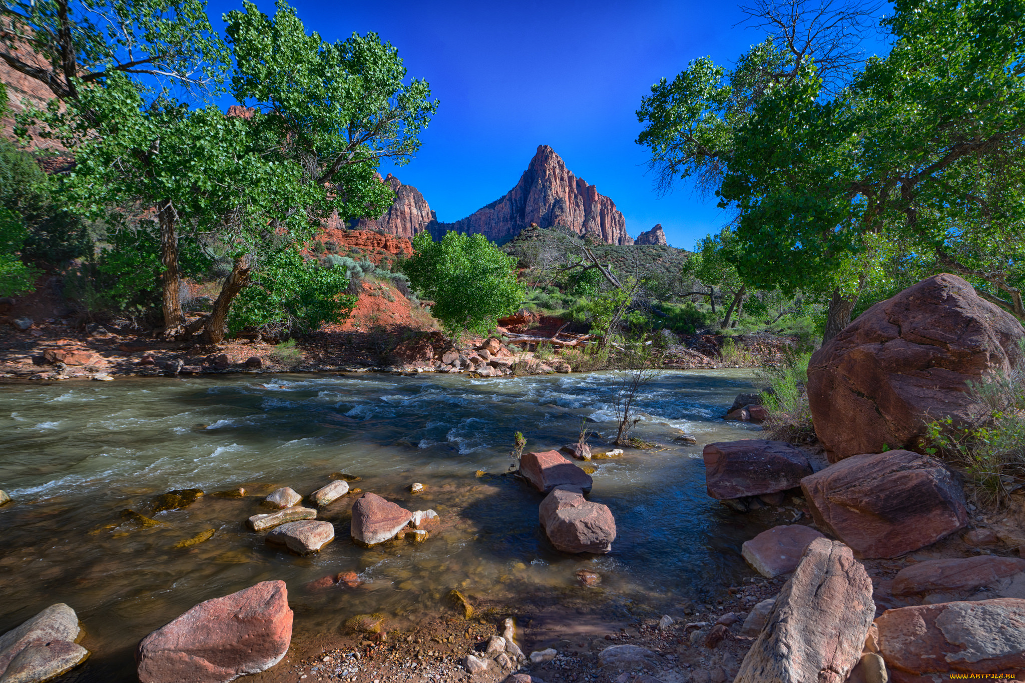 природа, реки, озера, река, лес