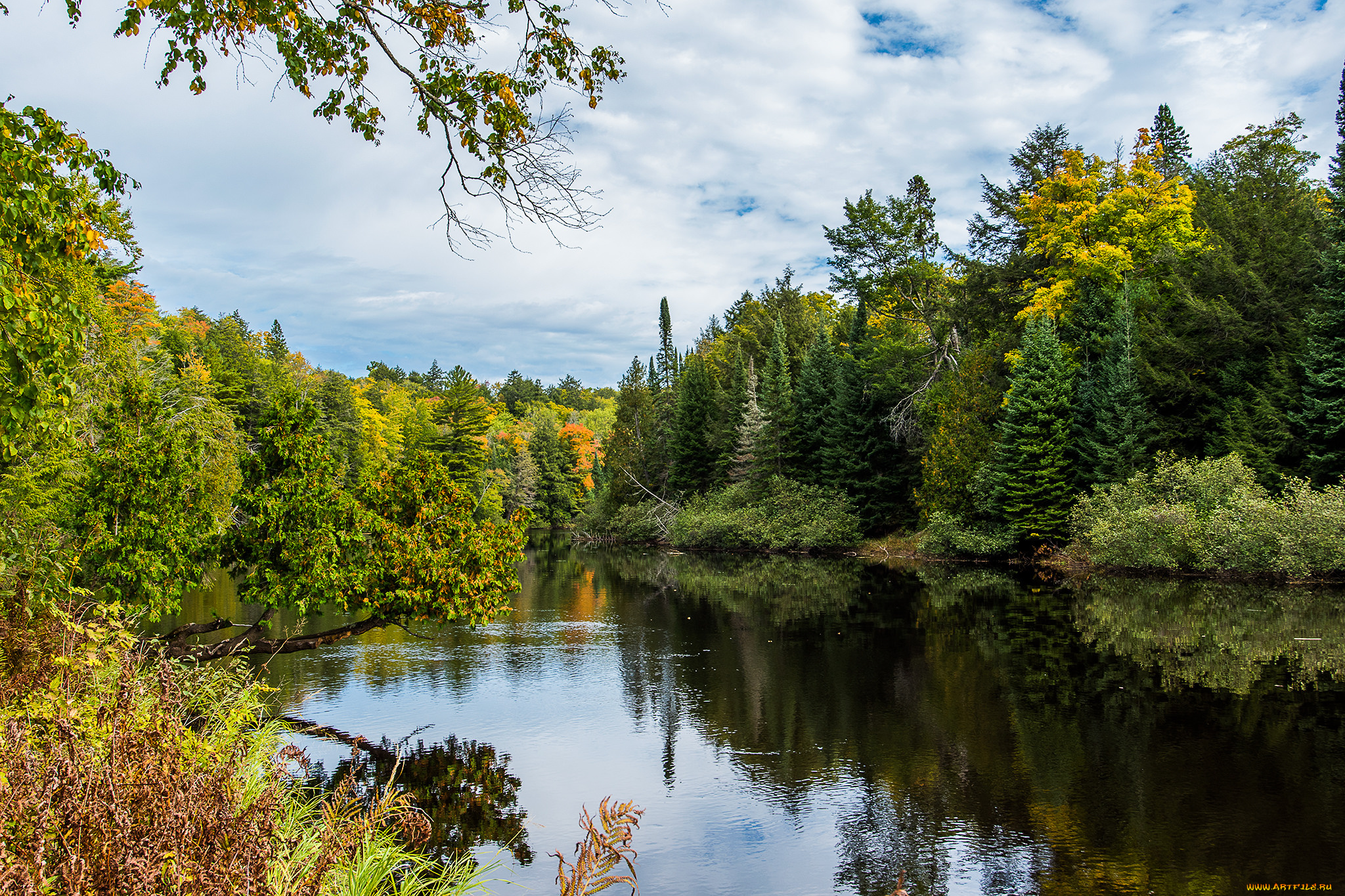 природа, реки, озера, река, лес