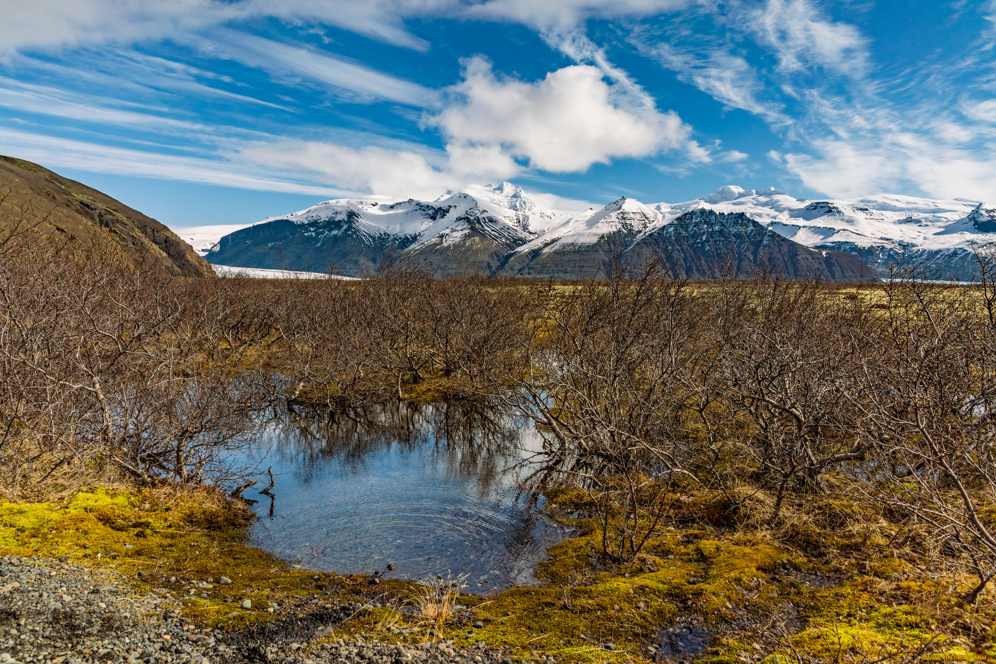 природа, реки, озера, река, лес