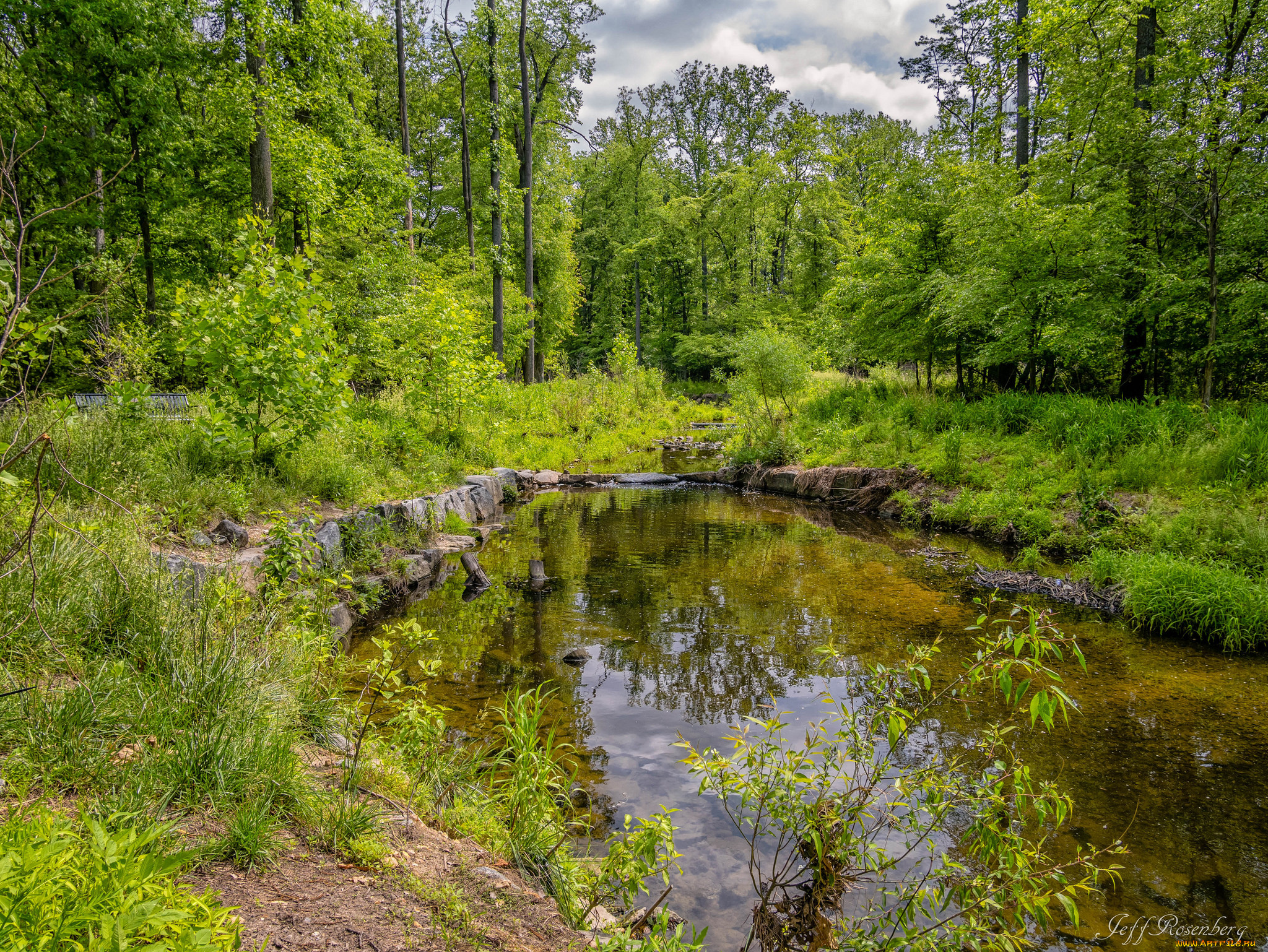 природа, реки, озера, река, лес