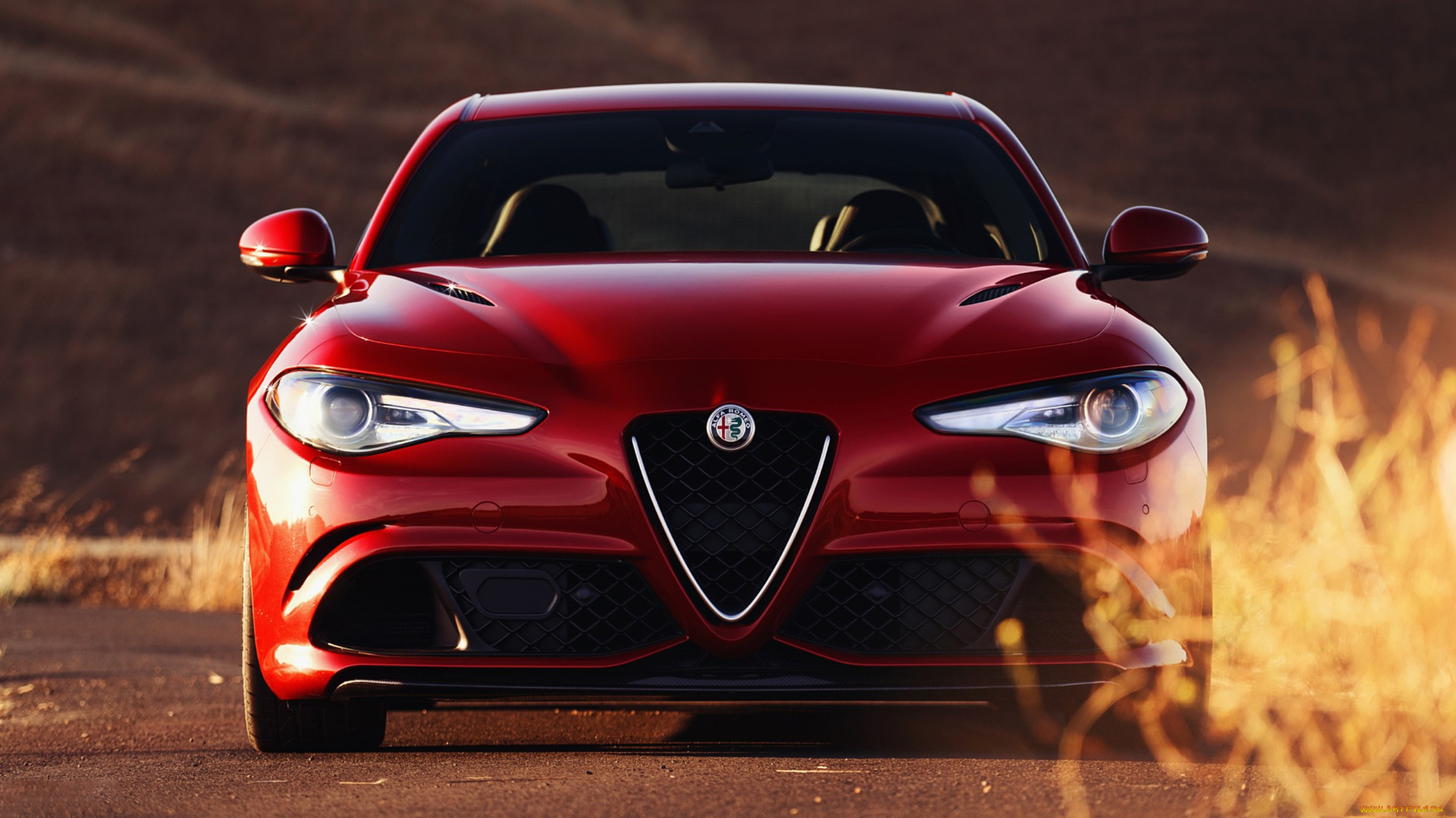 alfa, romeo, giulia, quadrifoglio, 2017, автомобили, alfa, romeo, 2017, quadrifoglio, giulia, alfa, romeo