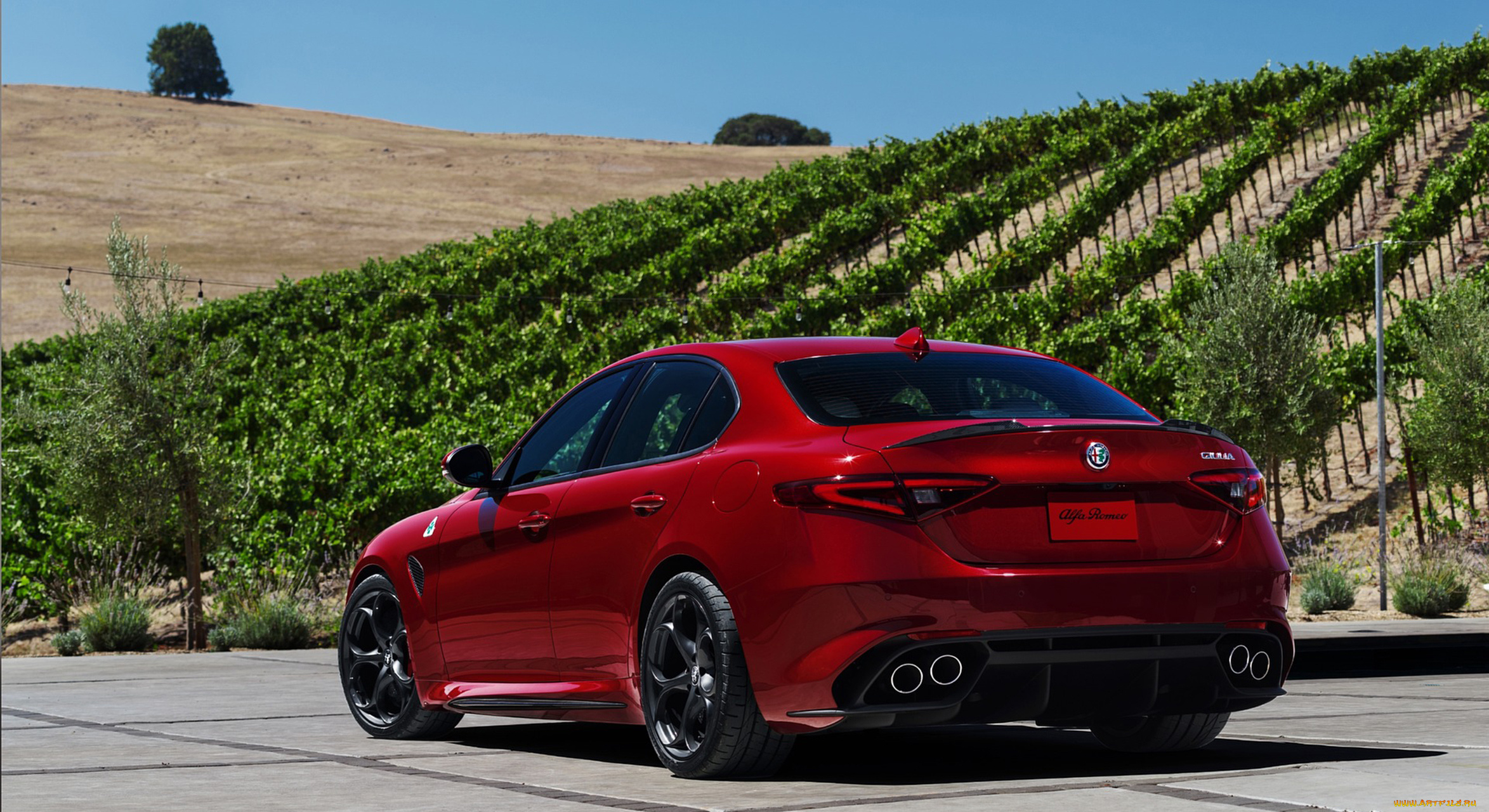 alfa, romeo, giulia, quadrifoglio, 2017, автомобили, alfa, romeo, 2017, quadrifoglio, alfa, romeo, giulia