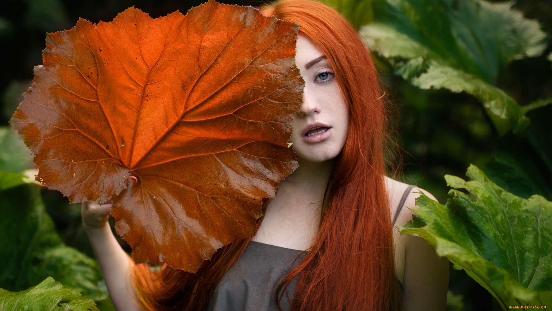 девушка, девушки, -unsort, , рыжеволосые, и, другие, модель