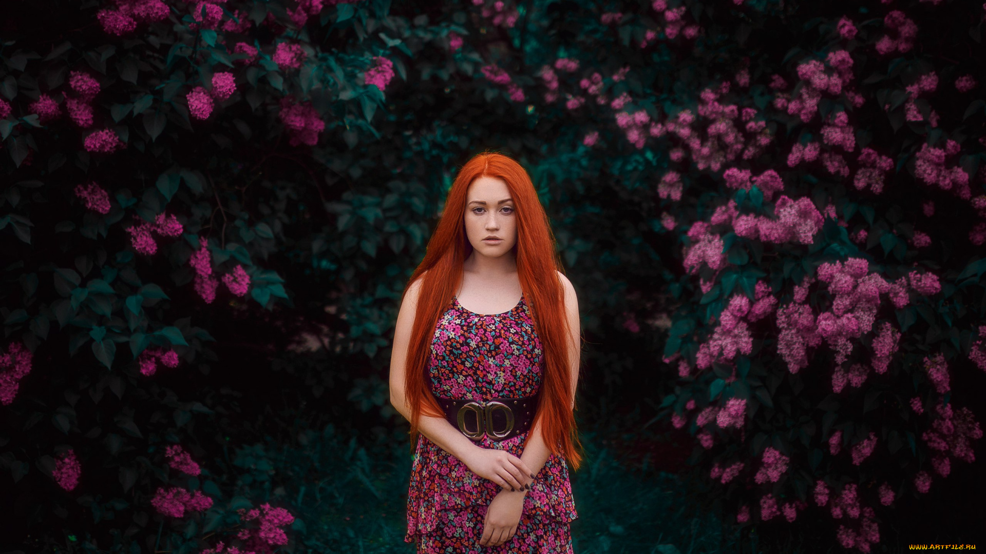 девушка, девушки, -unsort, , рыжеволосые, и, другие, модель