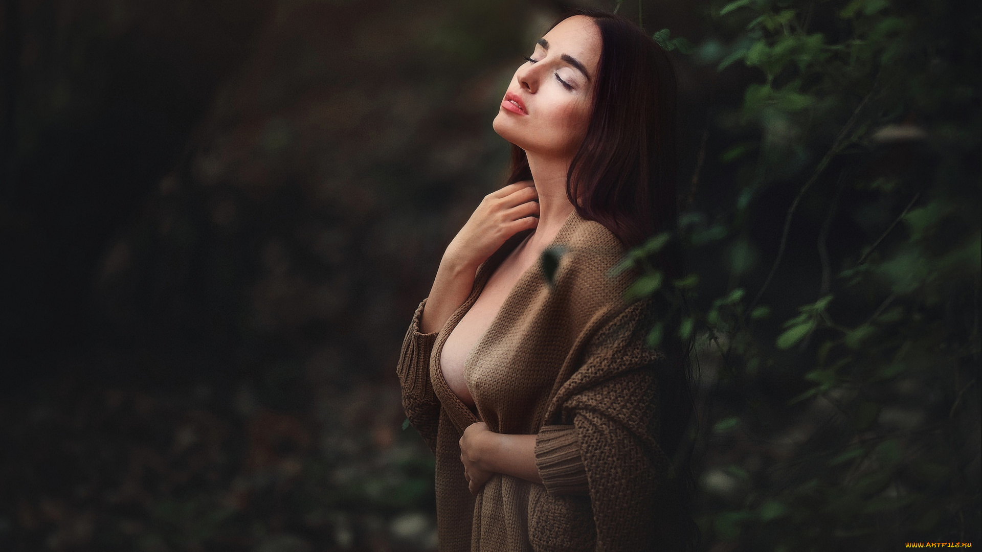 девушки, -unsort, , брюнетки, темноволосые, темный, фон, лес, солнце