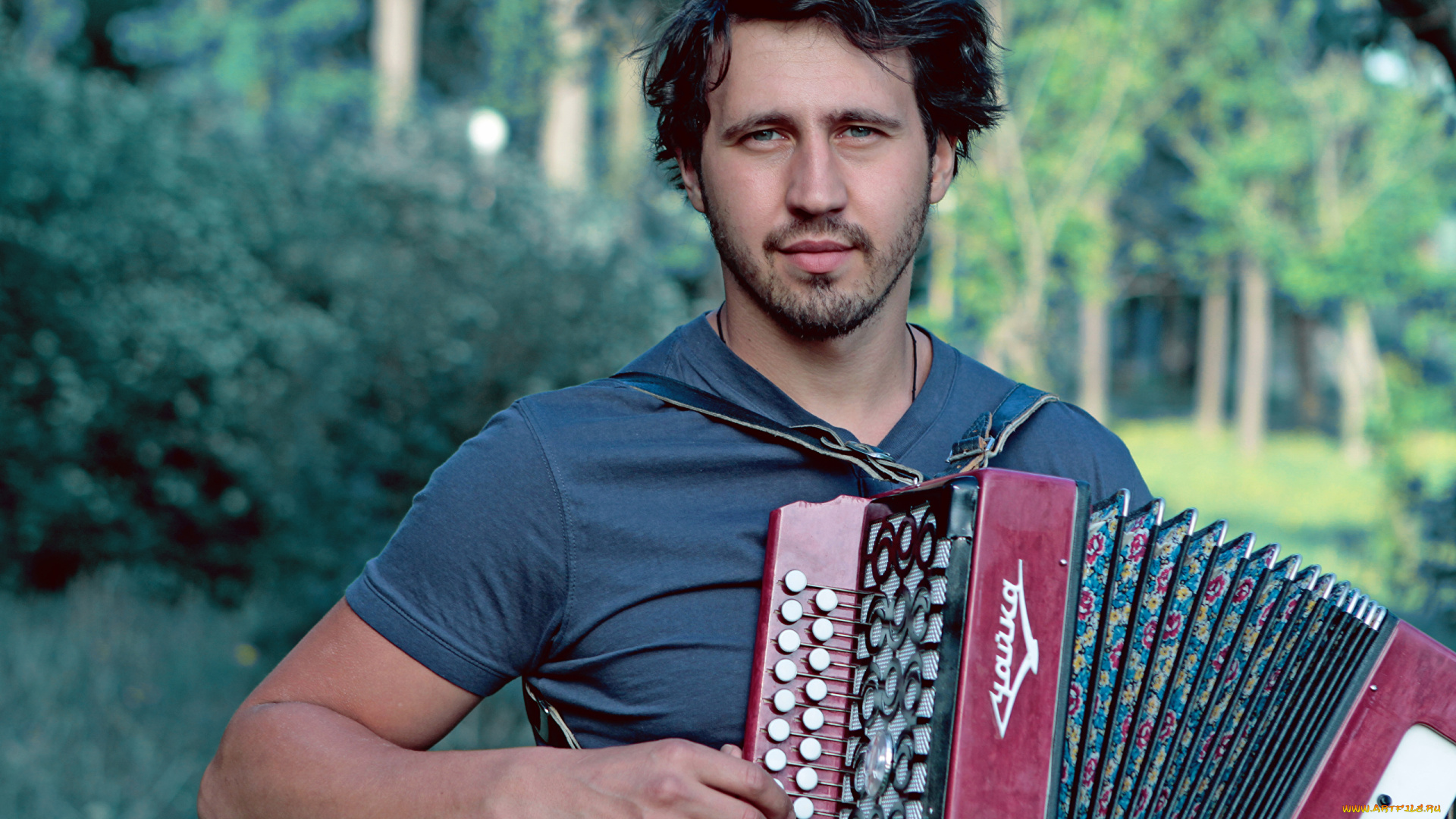 музыка, -другое, мужчина, взгляд, аккордеон, баян