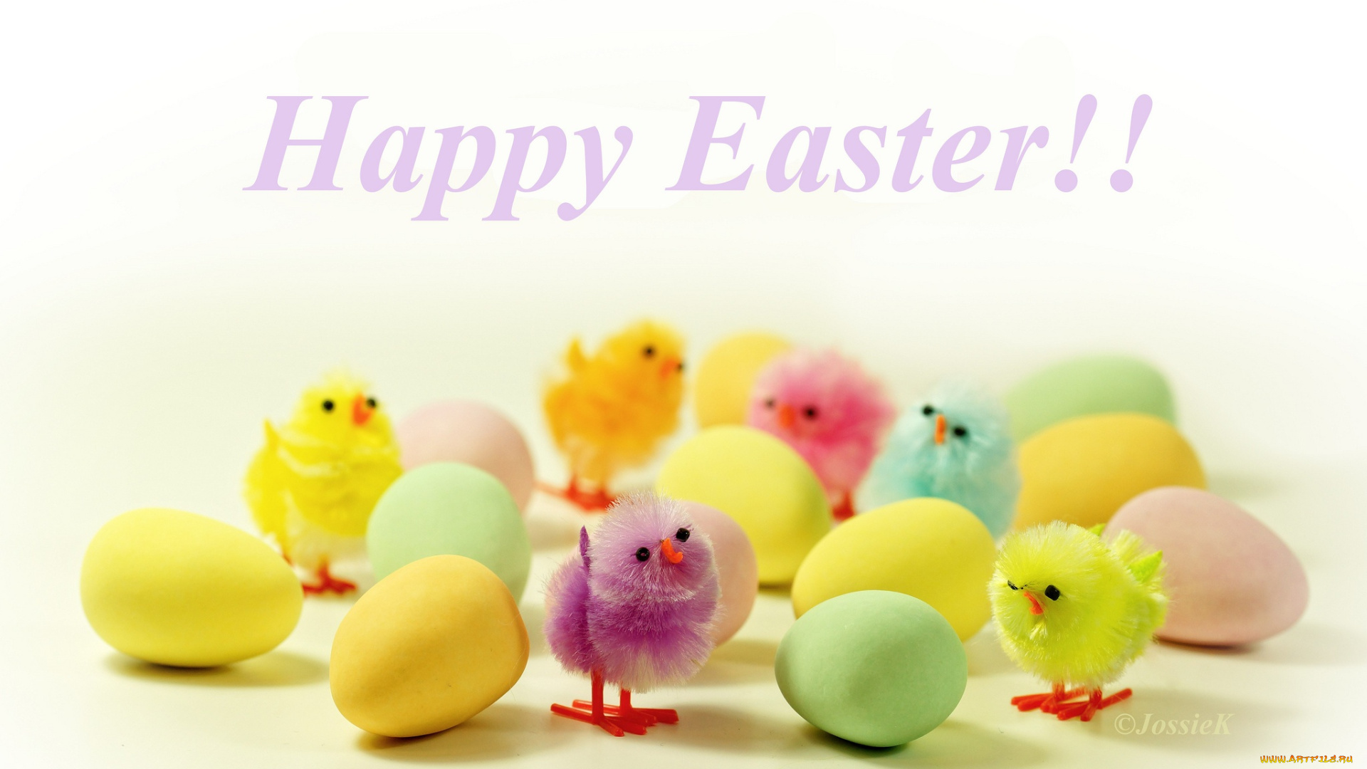 праздничные, пасха, цыплята, яйца