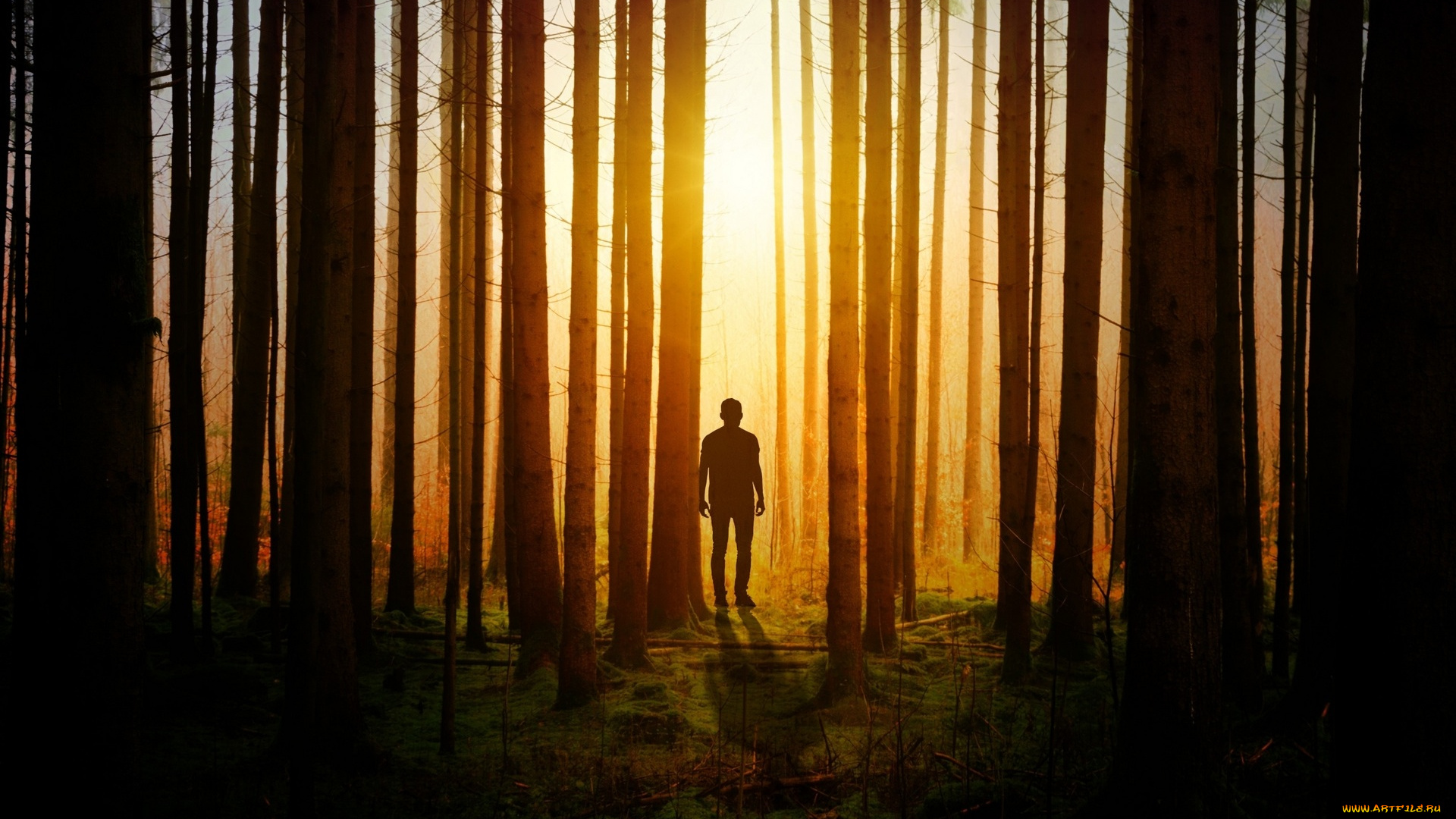 разное, компьютерный, дизайн, лес, силуэт, тень, человек