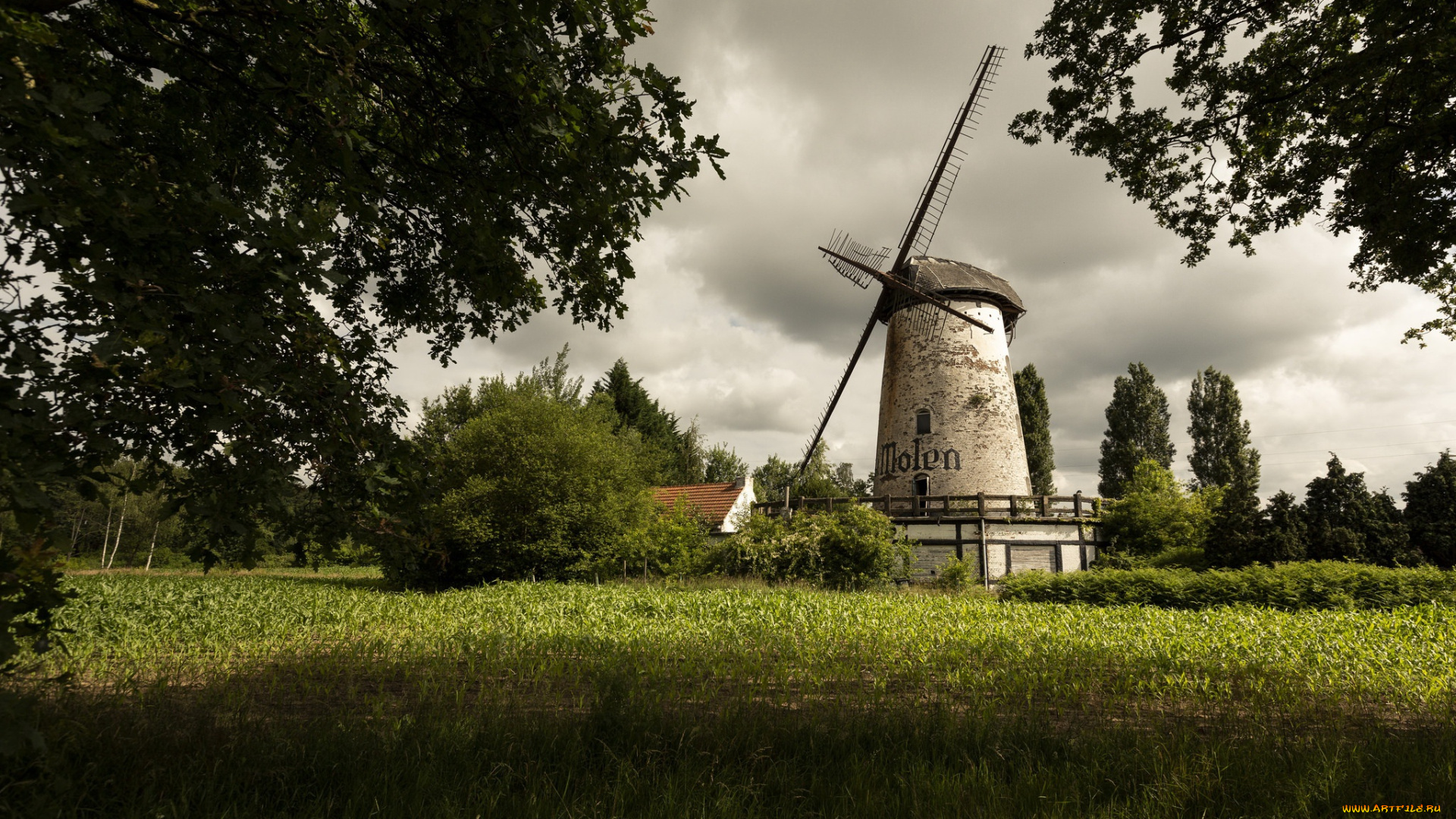 разное, мельницы, лето, поле, мельница