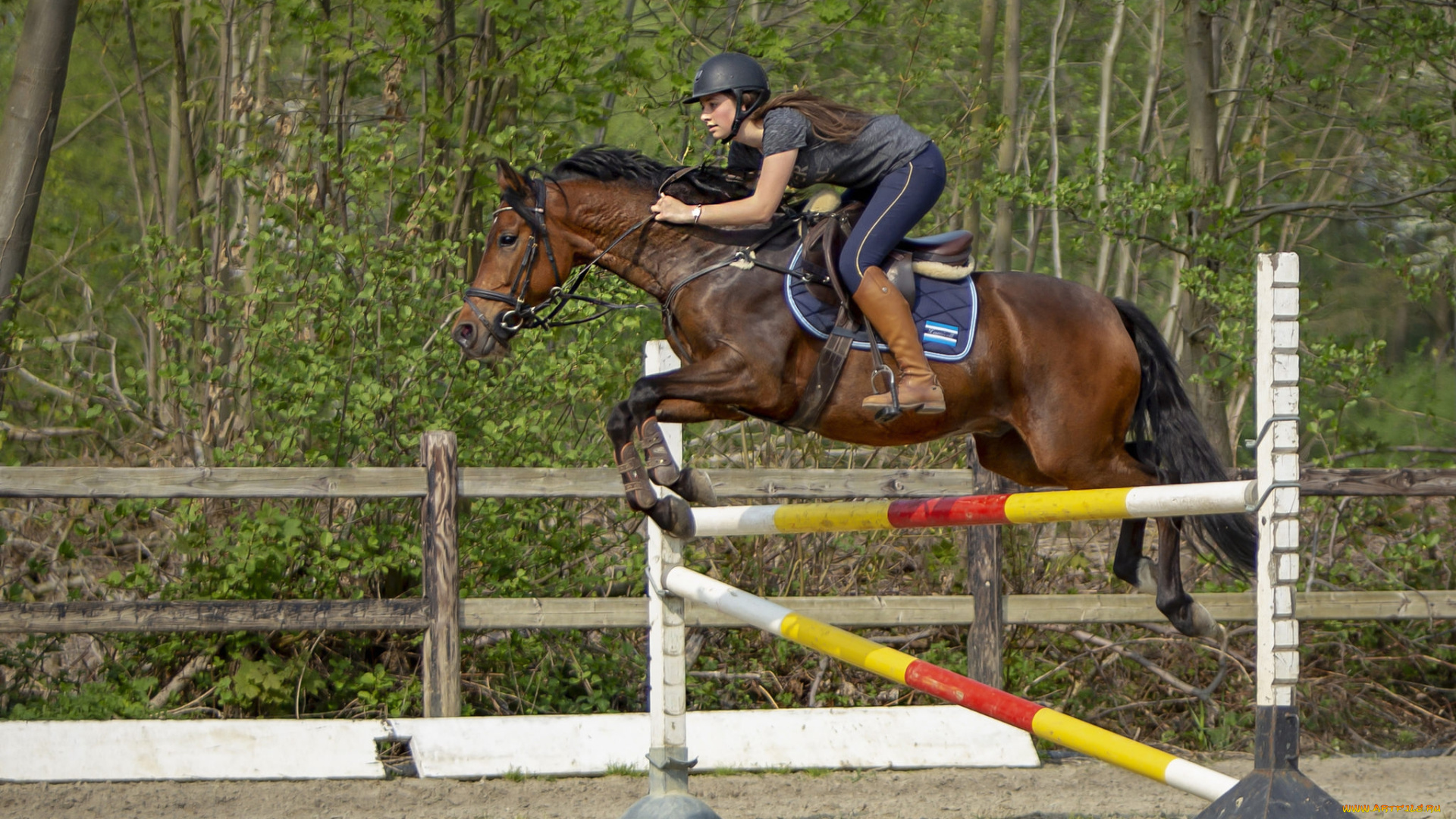 спорт, конный, спорт, всадница