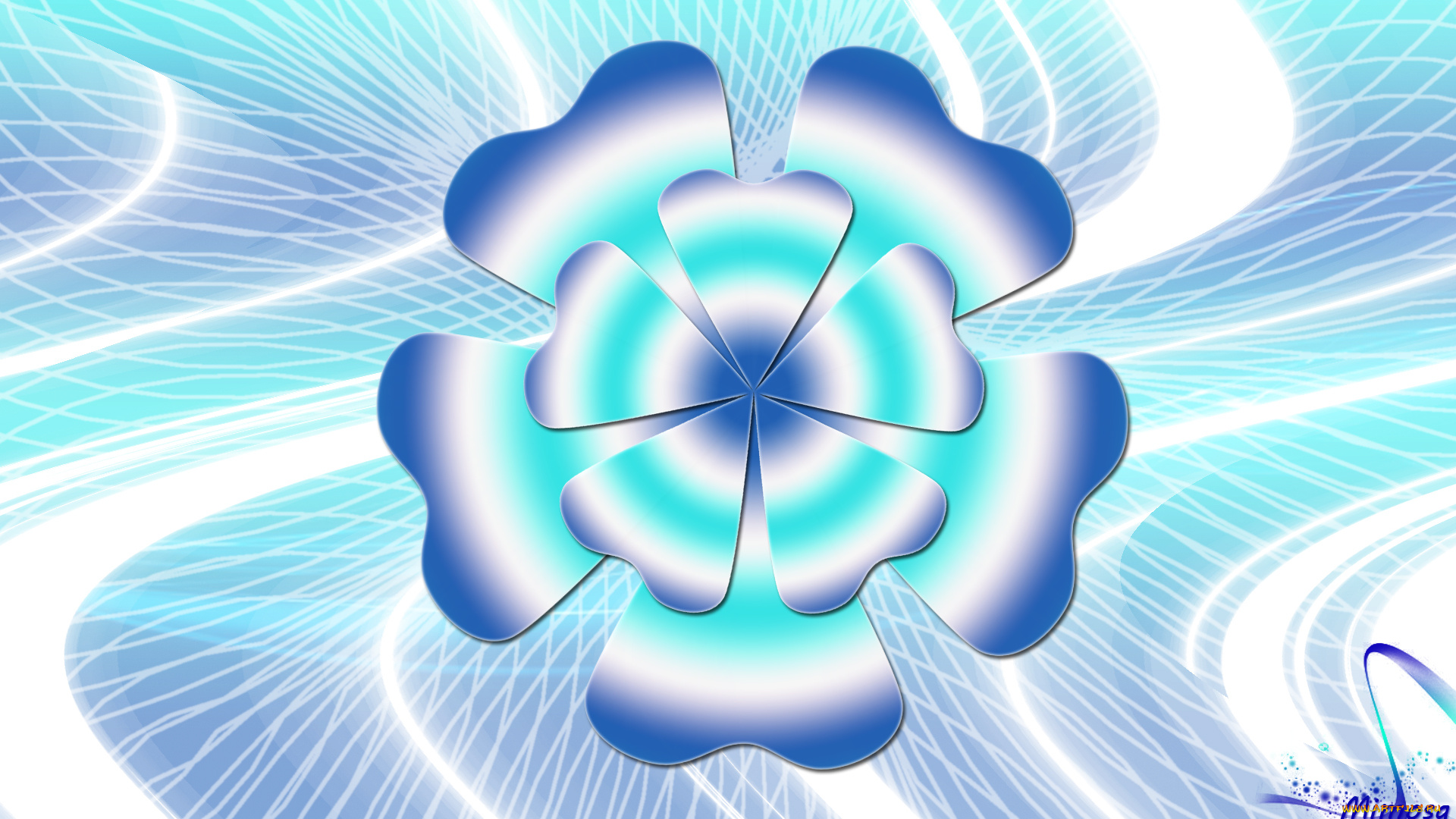 векторная, графика, цветы, , flowers, цвета, фон, узор