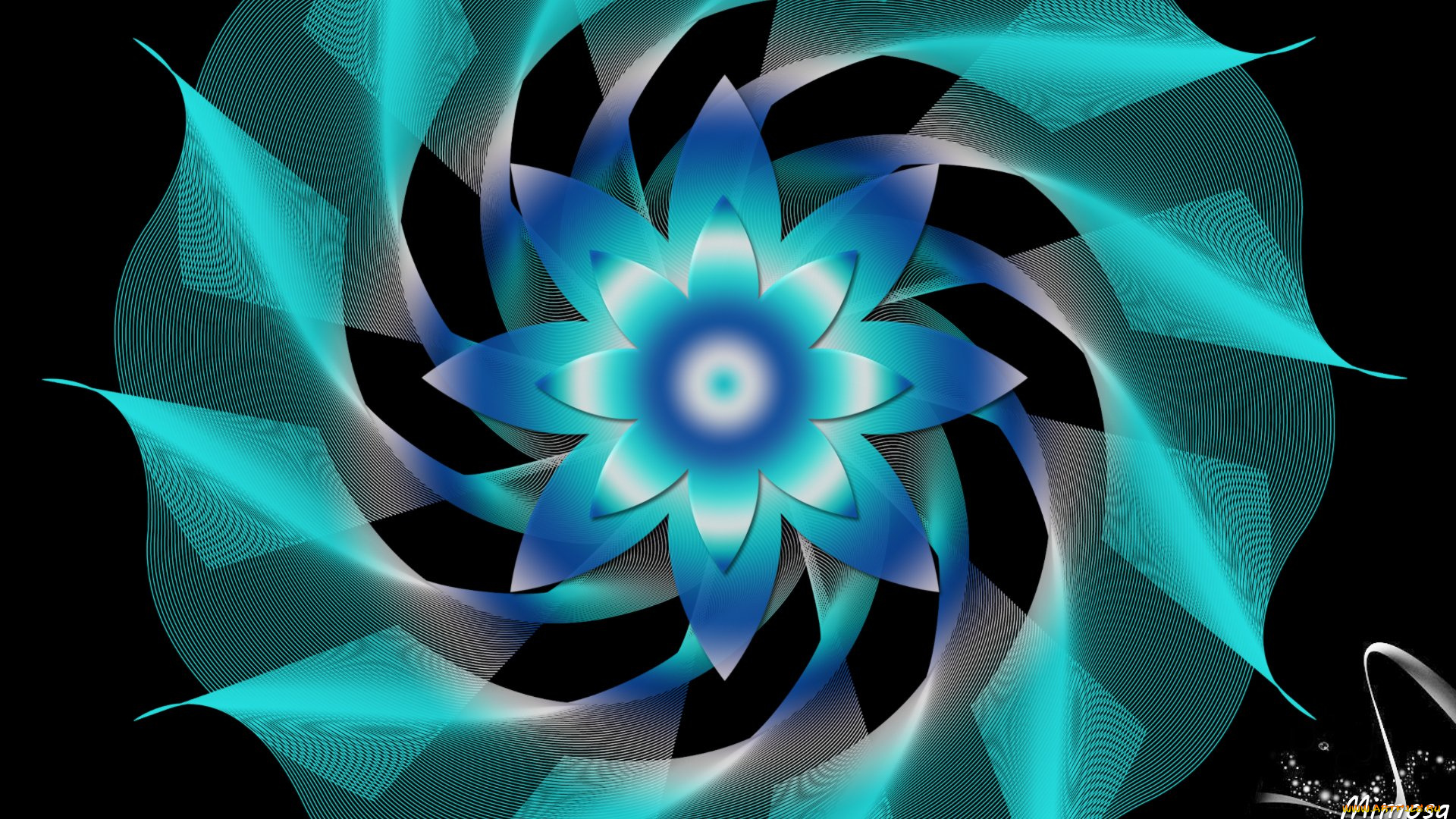 векторная, графика, графика, , graphics, узор, цвета, фон