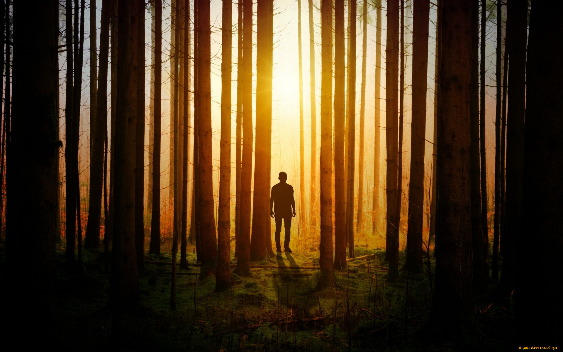 разное, компьютерный, дизайн, лес, силуэт, тень, человек