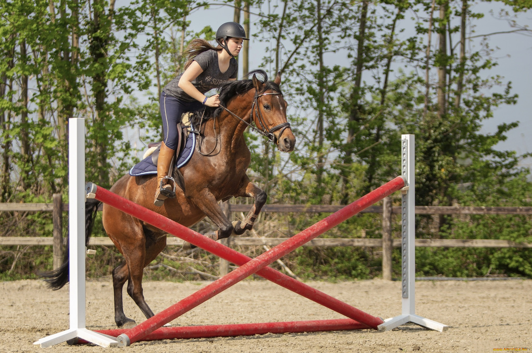 спорт, конный, спорт, всадница