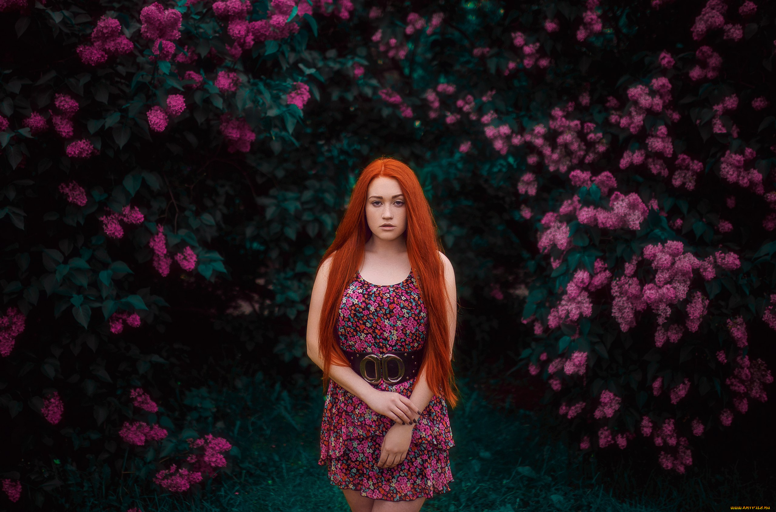 девушка, девушки, -unsort, , рыжеволосые, и, другие, модель