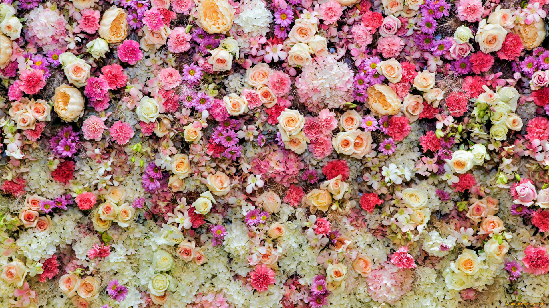 цветы, разные, вместе, гвоздики, розы, герберы