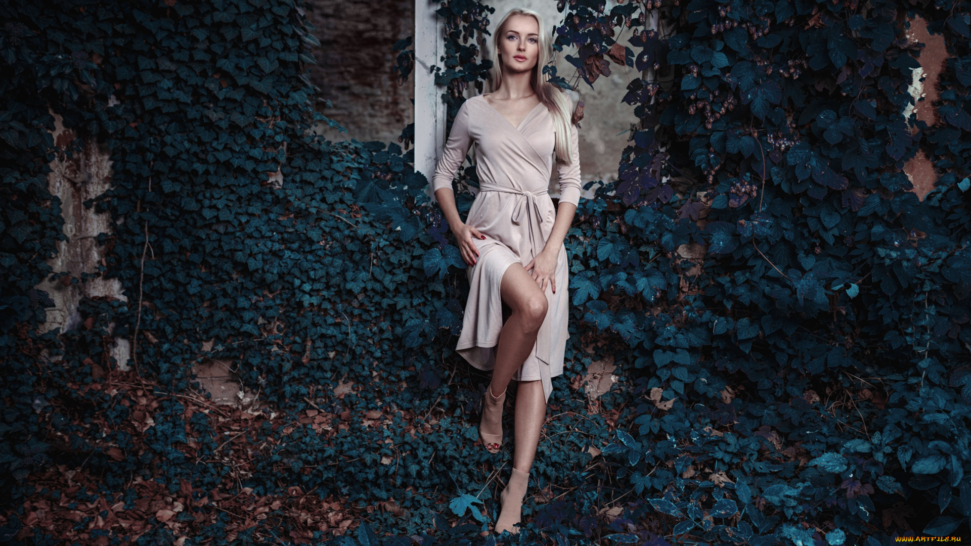 девушки, -unsort, , блондинки, , светловолосые, растения, блондинка, стена