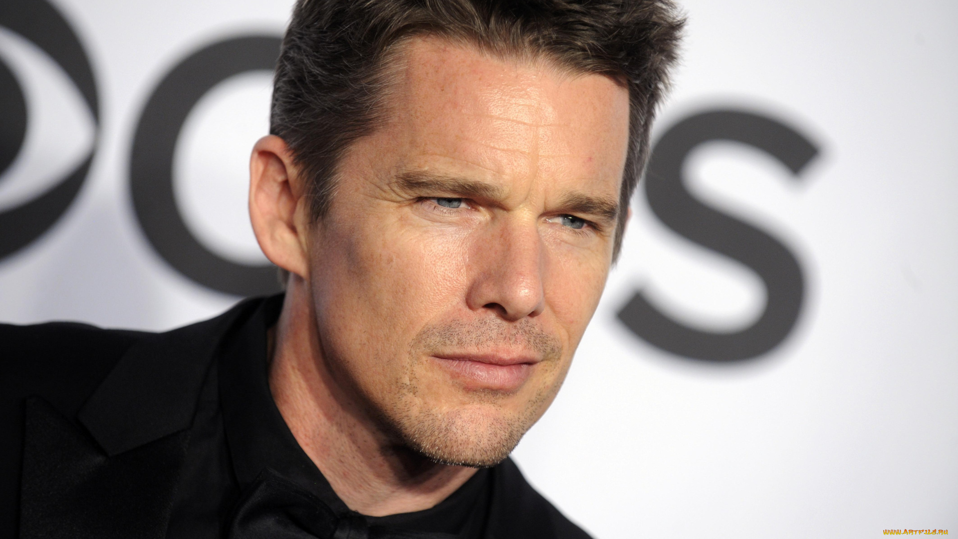 ethan, hawk, мужчины, ethan, hawke, костюм, ethan, hawk, лицо