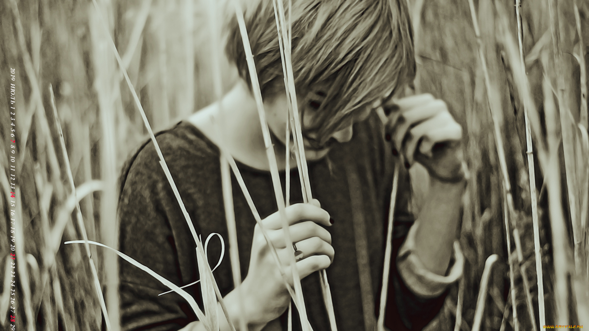 календари, компьютерный, дизайн, природа, девушка, растение, 2019, calendar, женщина