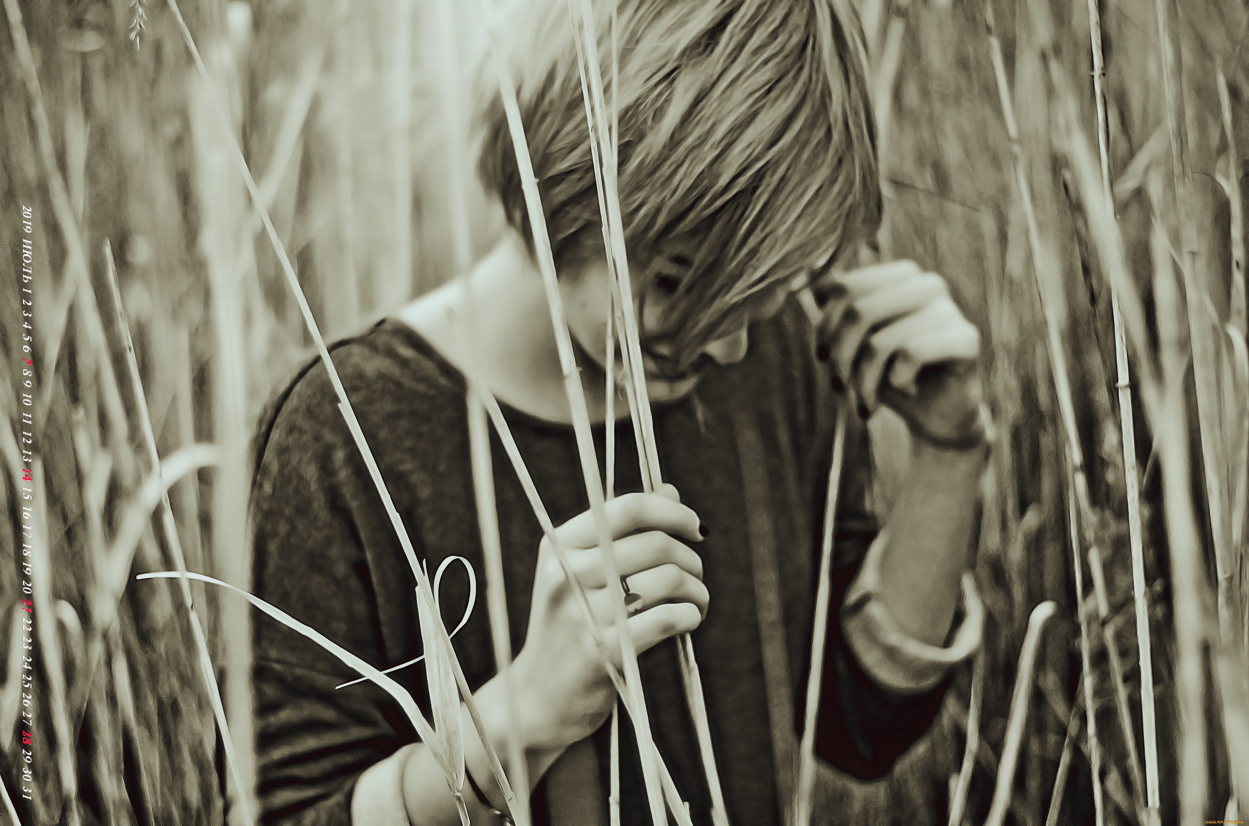 календари, компьютерный, дизайн, природа, девушка, растение, 2019, calendar, женщина