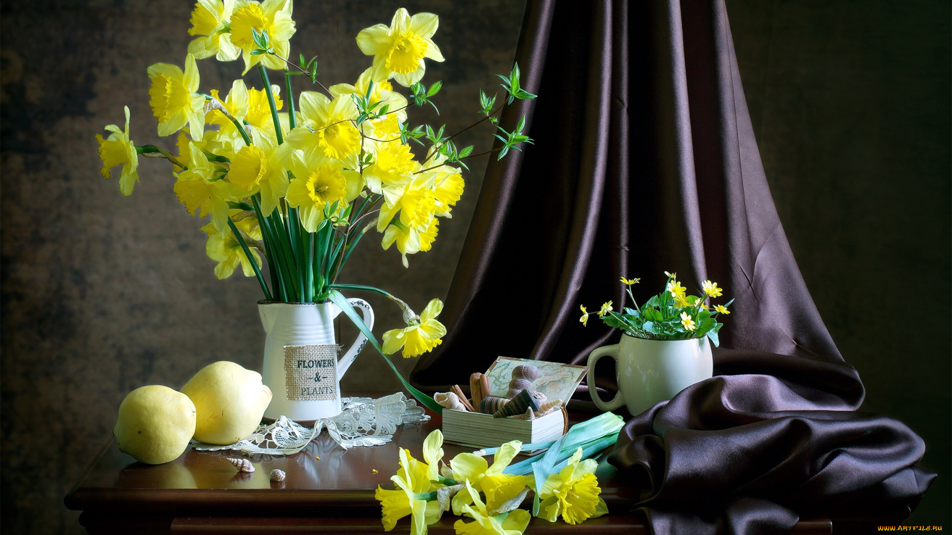 еда, натюрморт, ракушки, нарциссы
