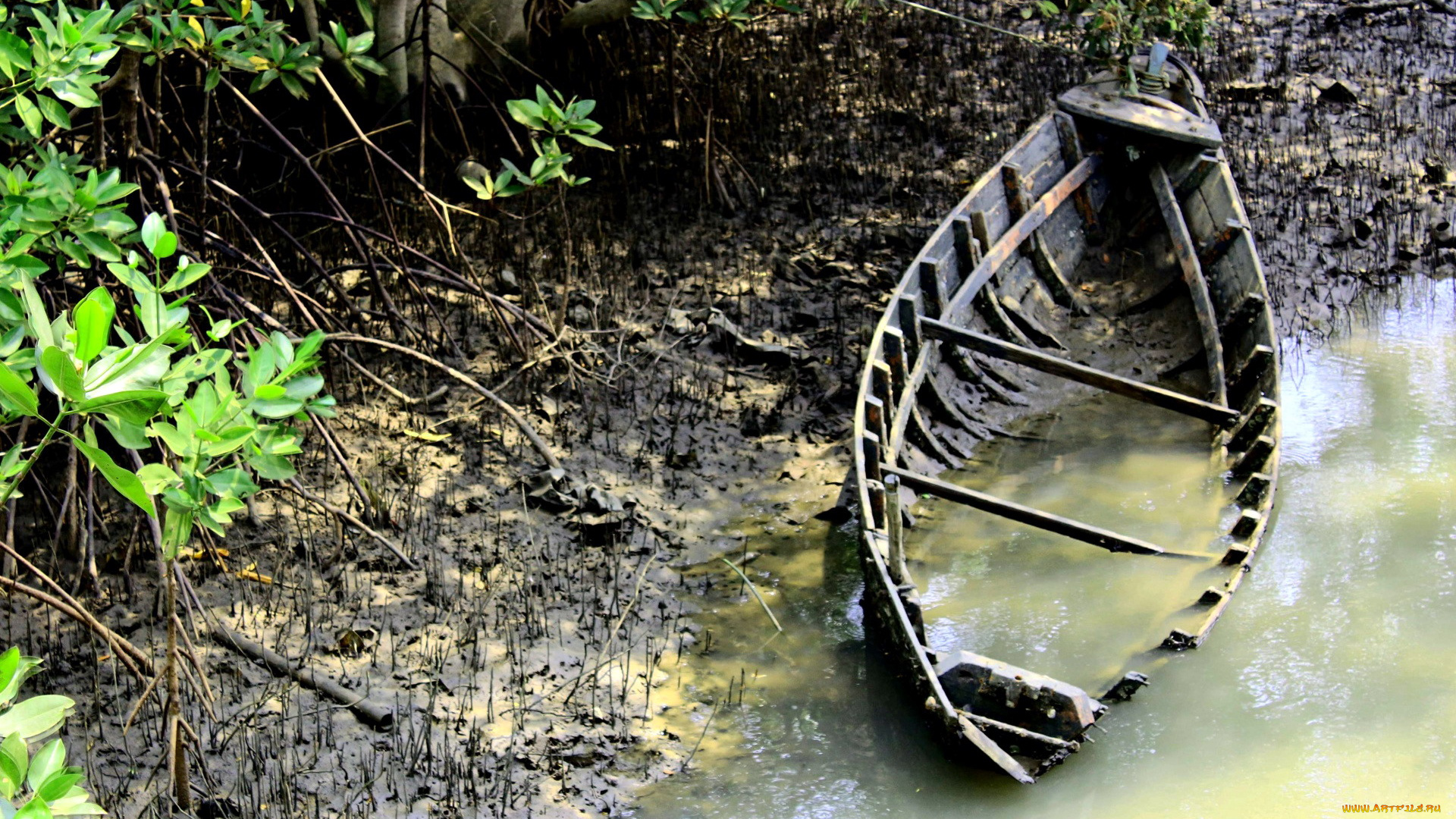 корабли, лодки, , шлюпки, затопленная, лодка