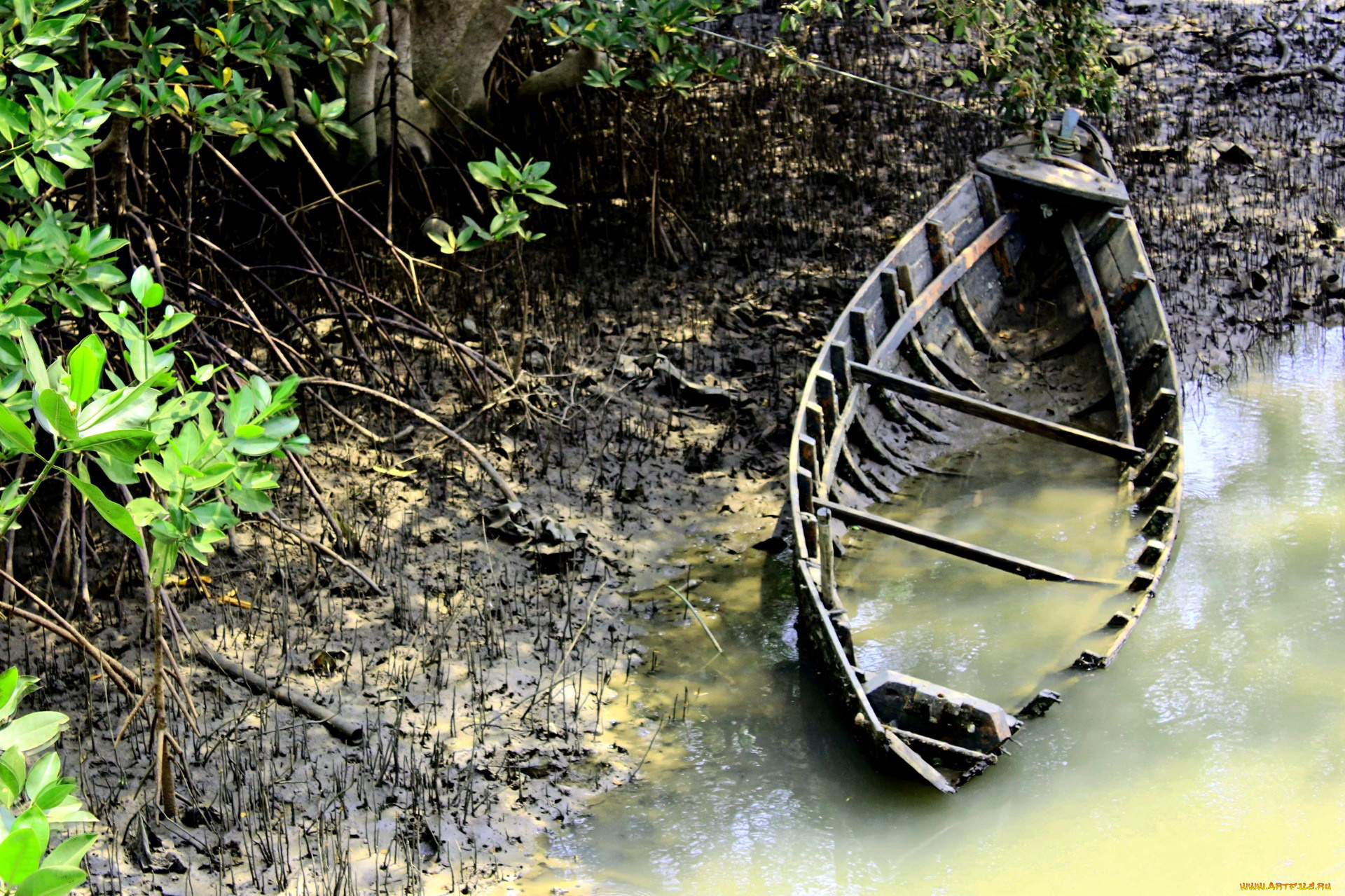 корабли, лодки, , шлюпки, затопленная, лодка