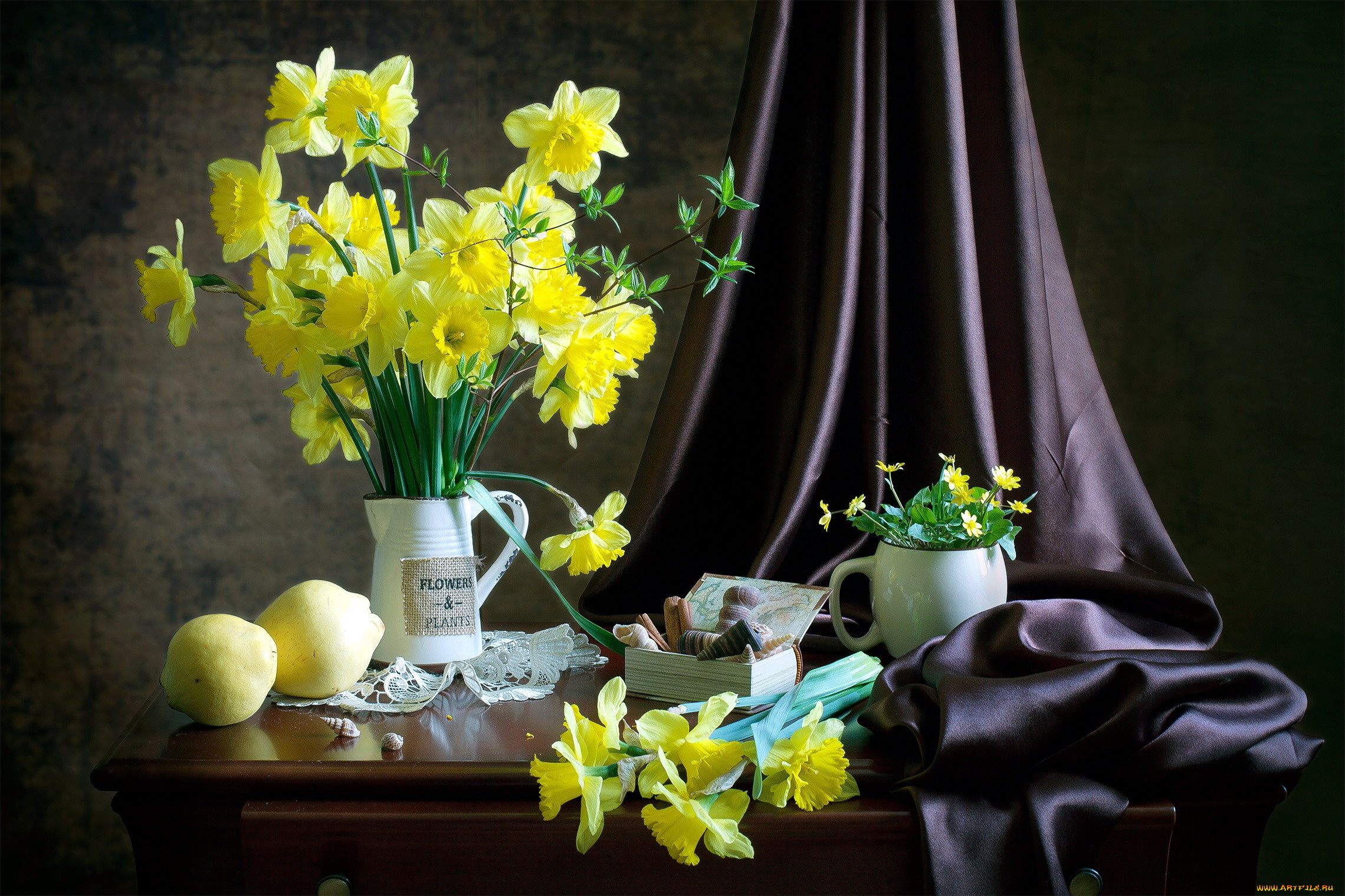 еда, натюрморт, ракушки, нарциссы