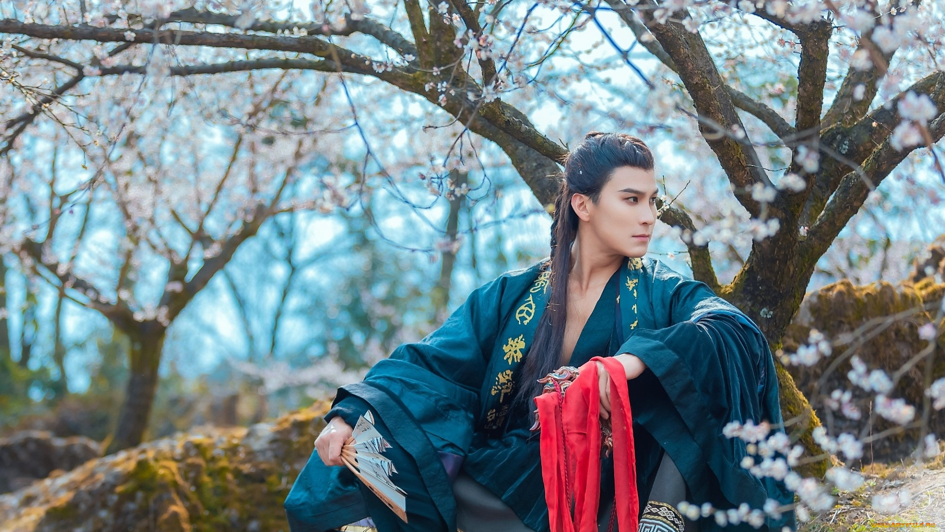 мужчины, -, креатив, , косплей, мужчина, костюм, веер, дерево, цветение