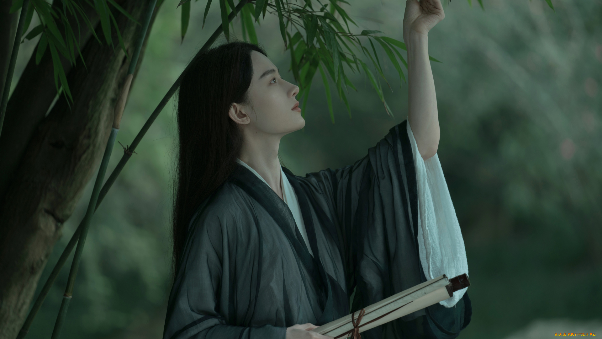 мужчины, tang, shihao, tang, shihao, тан, шиао