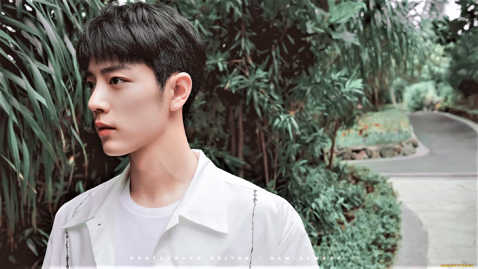 мужчины, xiao, zhan, актер, лицо, рубашка, парк