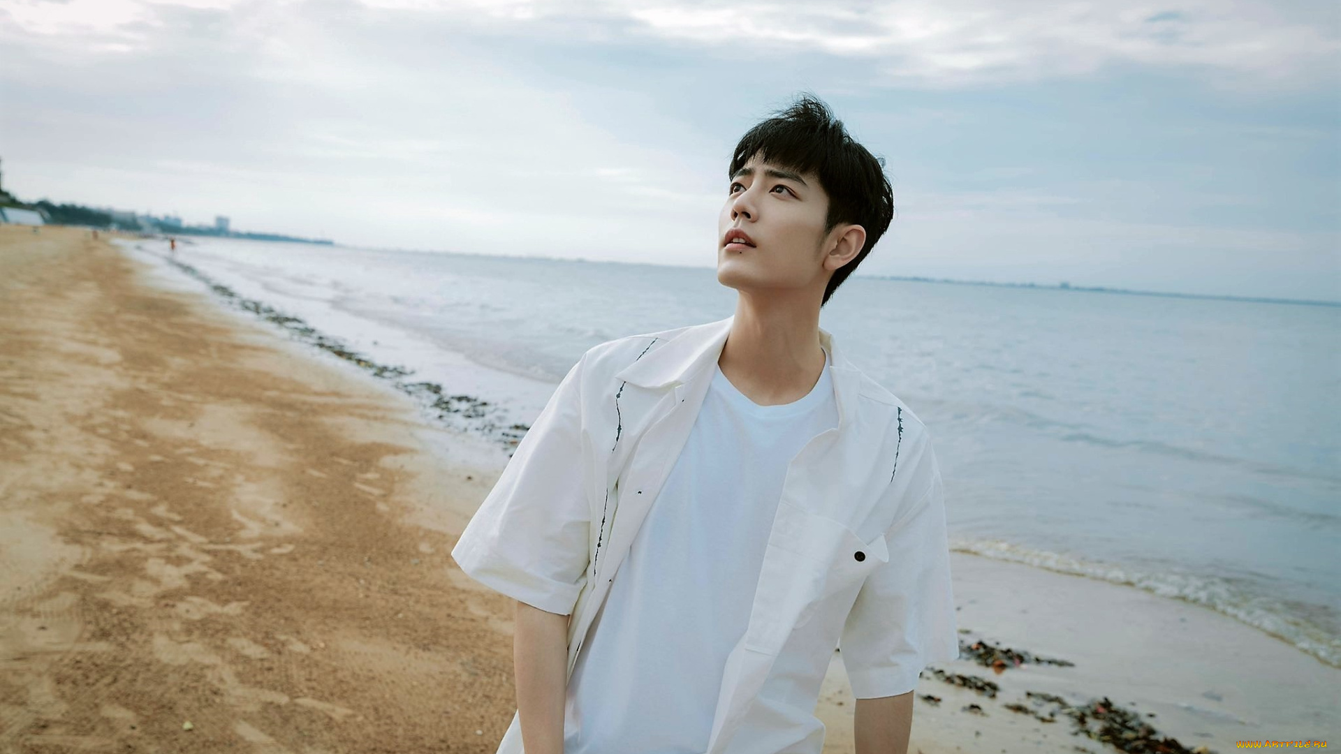 мужчины, xiao, zhan, актер, рубашка, футболка, берег, море
