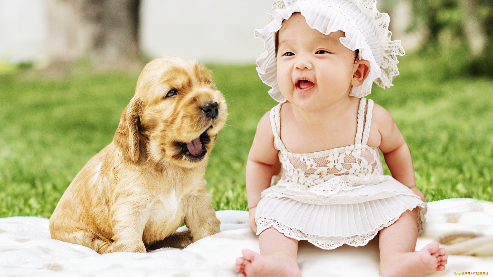 разное, дети, девочка, щенок