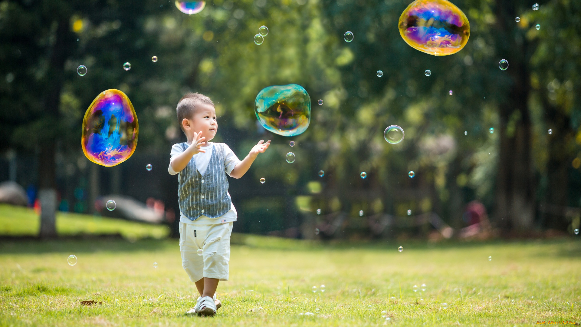 разное, дети, мальчик, лужайка, пузыри
